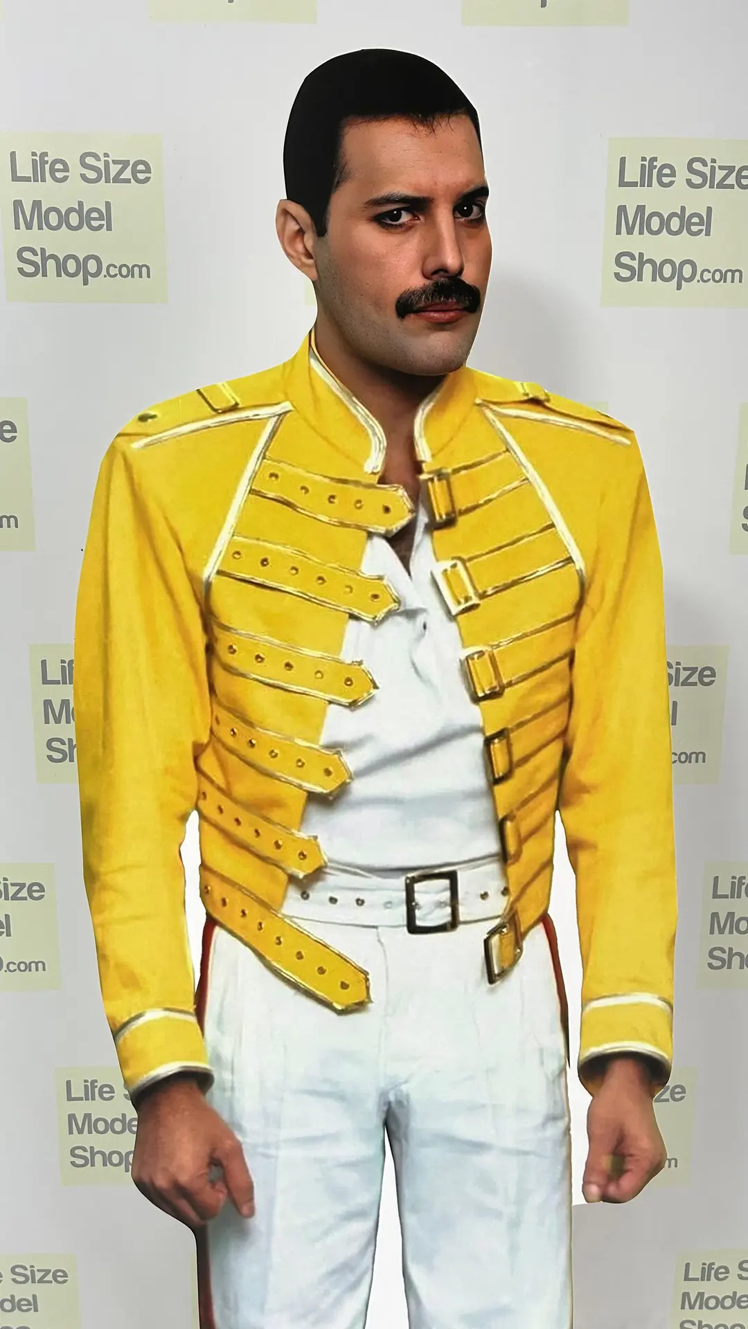 Modelo de papelão recortado Freddie Mercury em tamanho real Farrokh  Bulsara, modelo de plástico em pé, image size:1080x1920