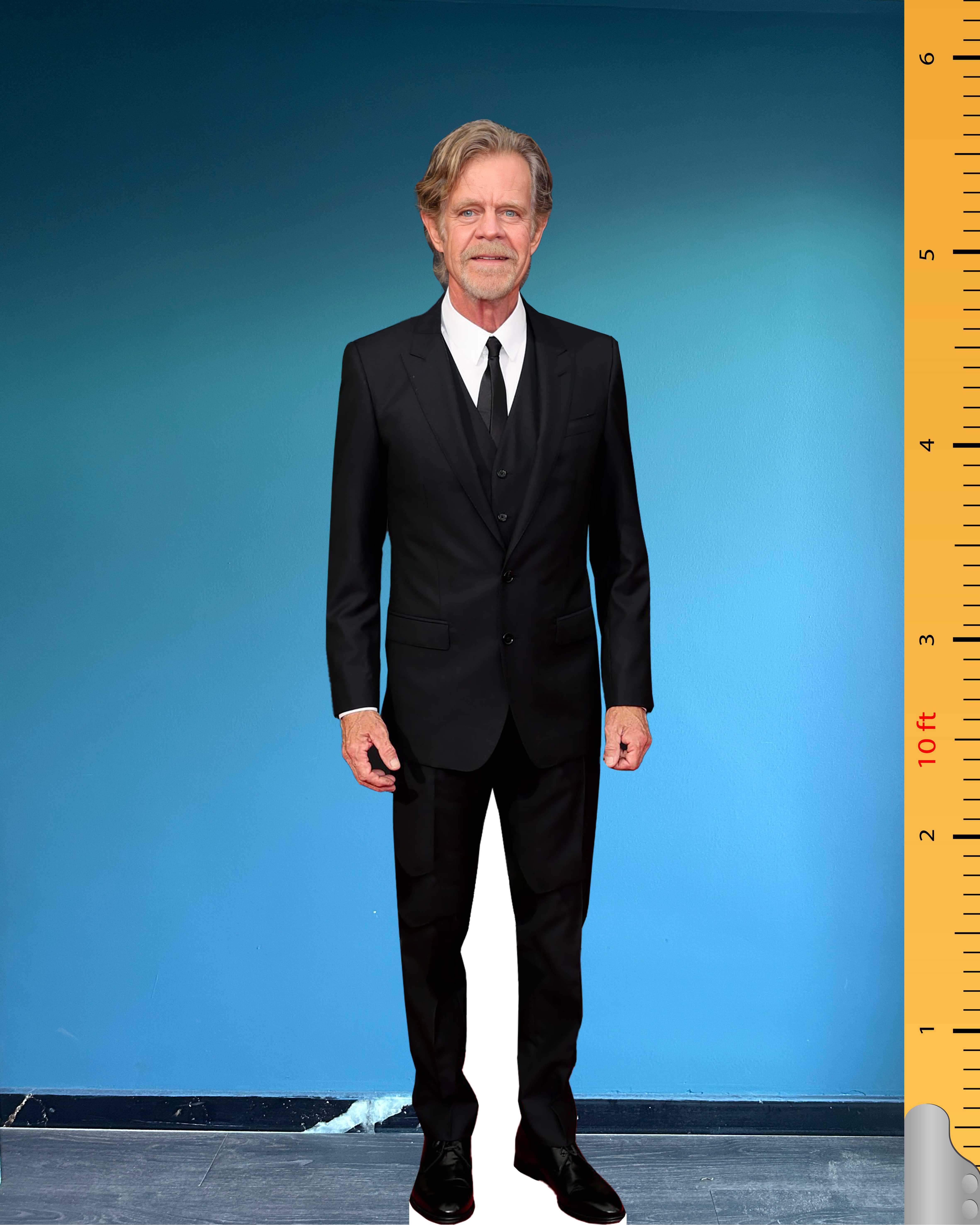 🎭 William H. Macy Cardboard Figure – Life-Size Celebrity Standee Model