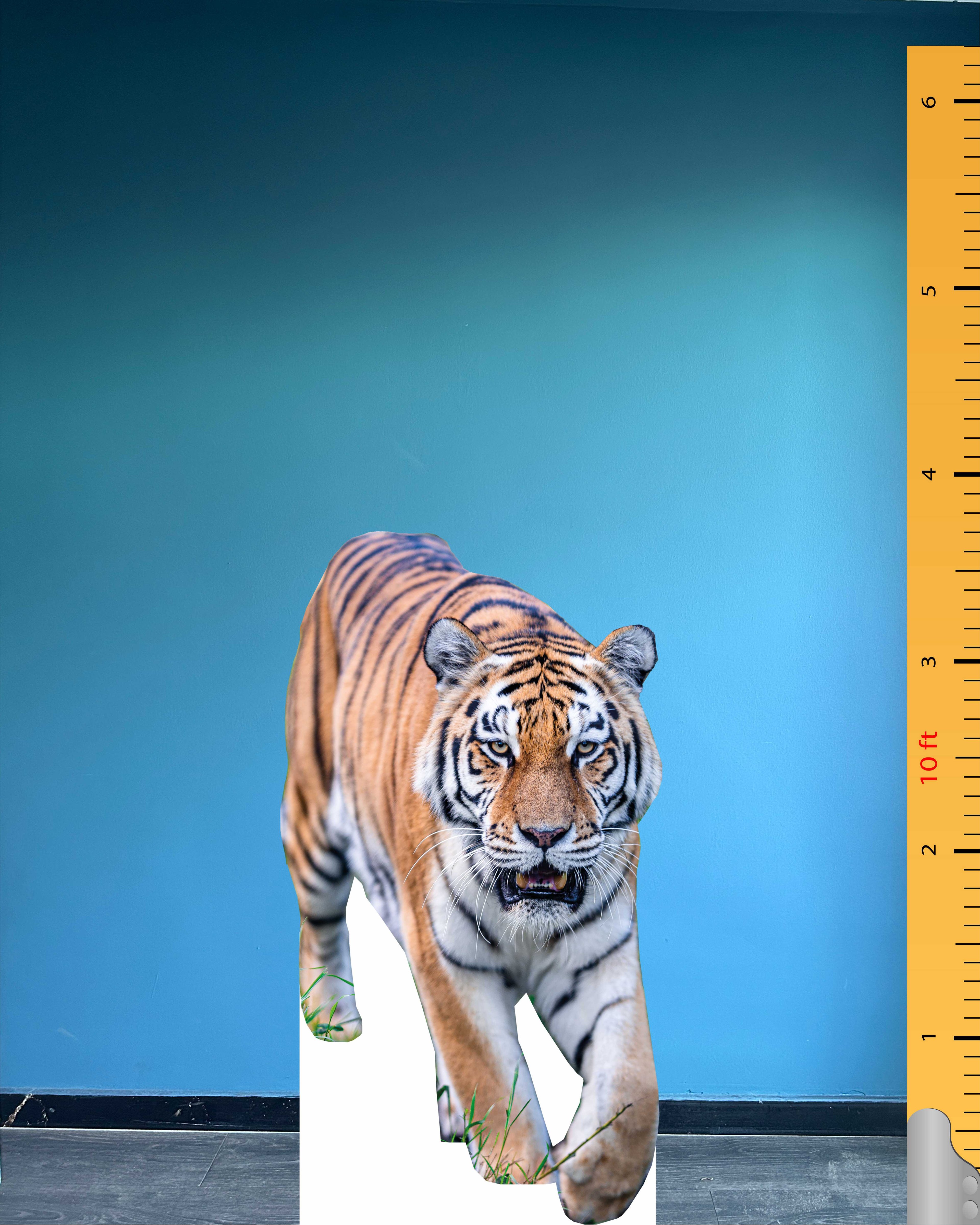 Tiger Cutout White Bengal Tiger Cardboard Cutout Model Animal Standee Plastic Figure
