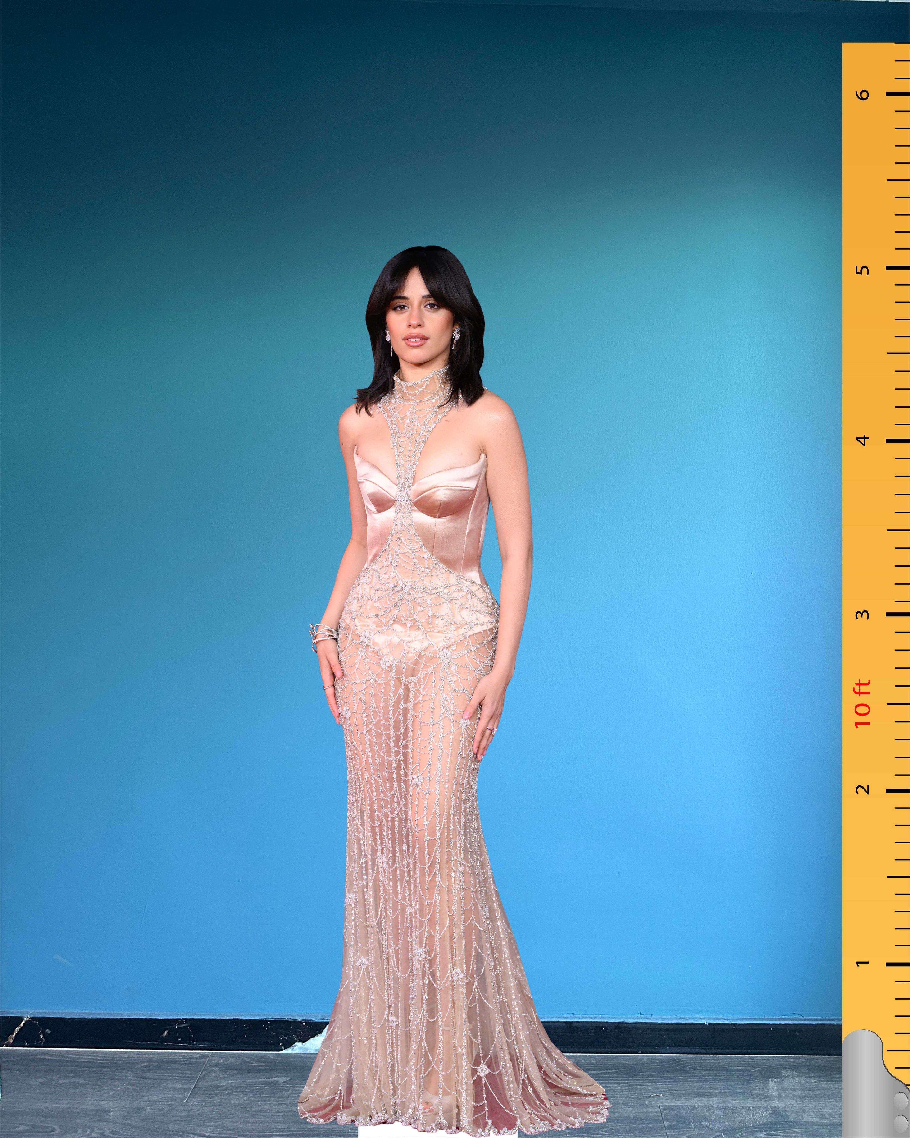 Camila Cabello Cardboard Cutout Model Life Size Cutout Plastic Standee BAFTA Awards 2025