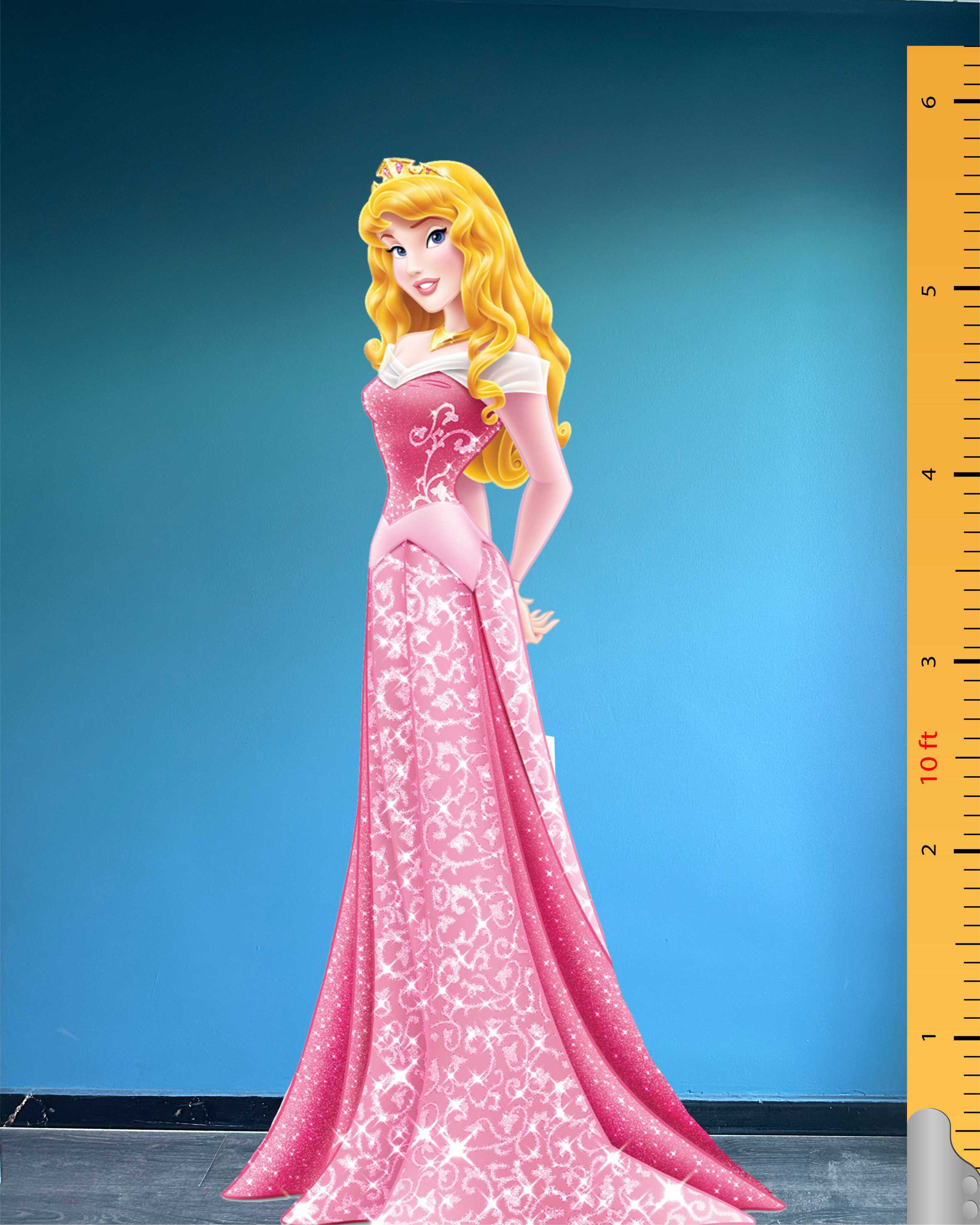 170cm (5,70 Feet)