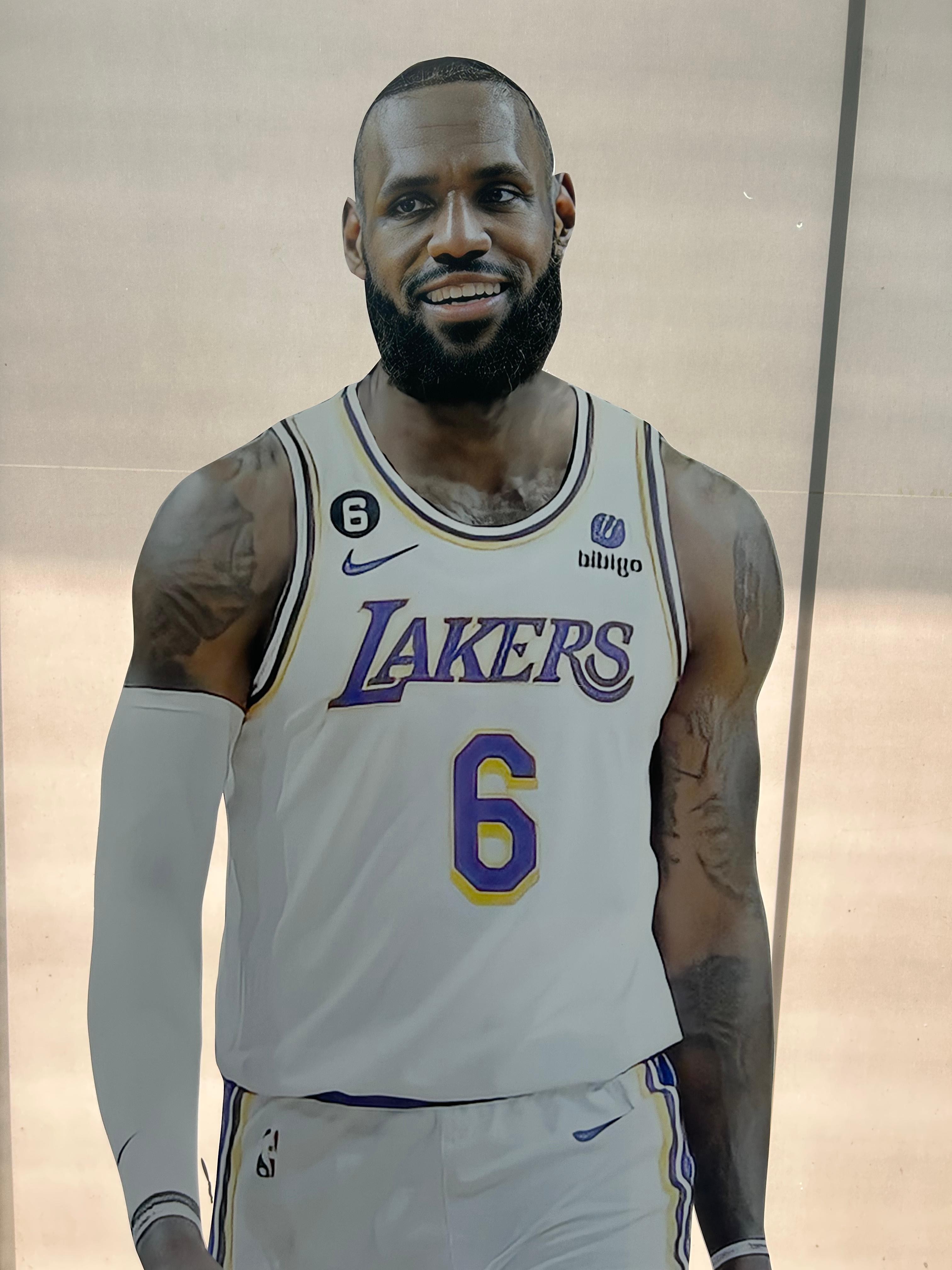 LeBron James Cardboard Cutouts Model Standee LeBron James Basketball Player Mockup