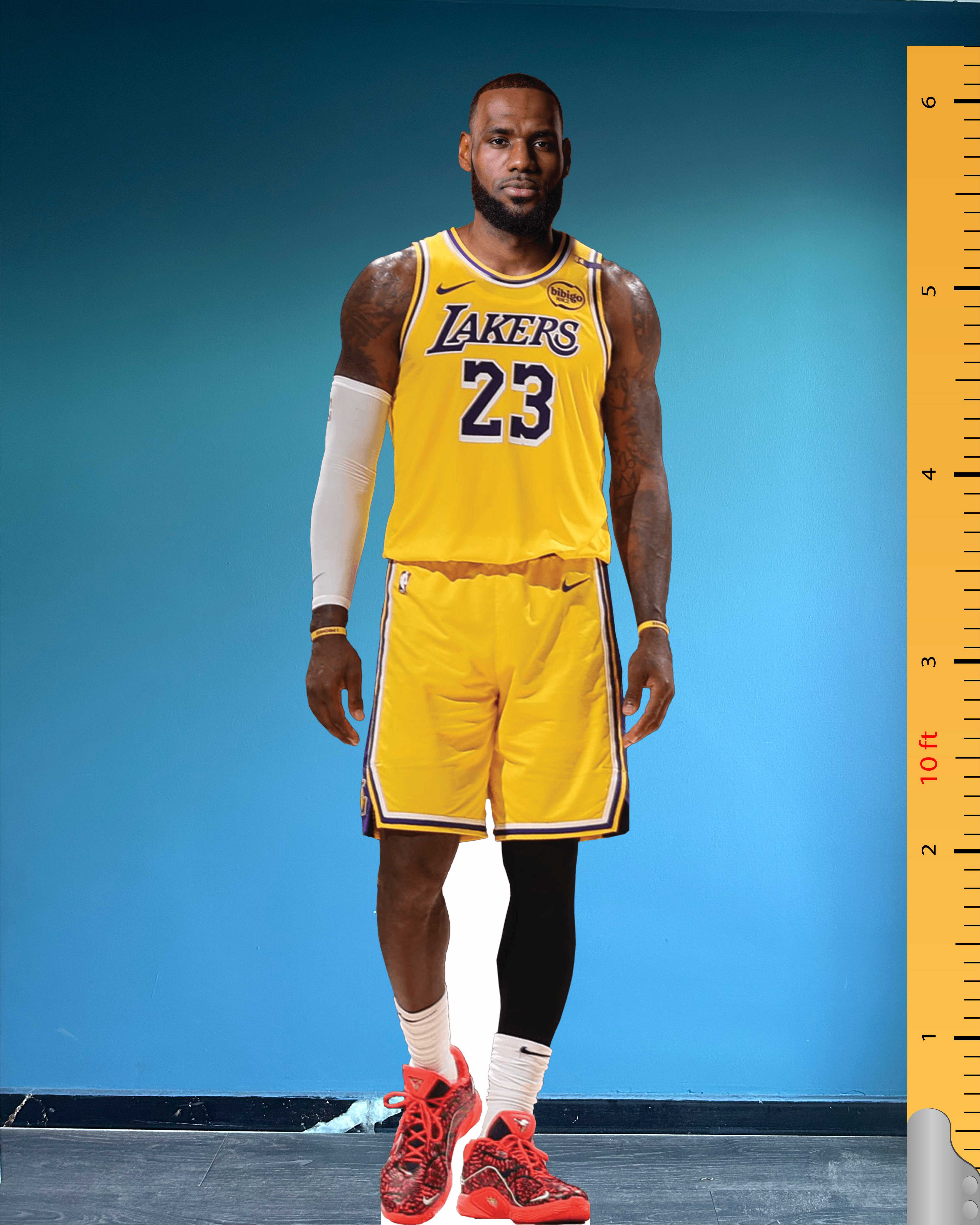 LeBron James Cardboard Cutout Model Plastic Standee LA Lakers