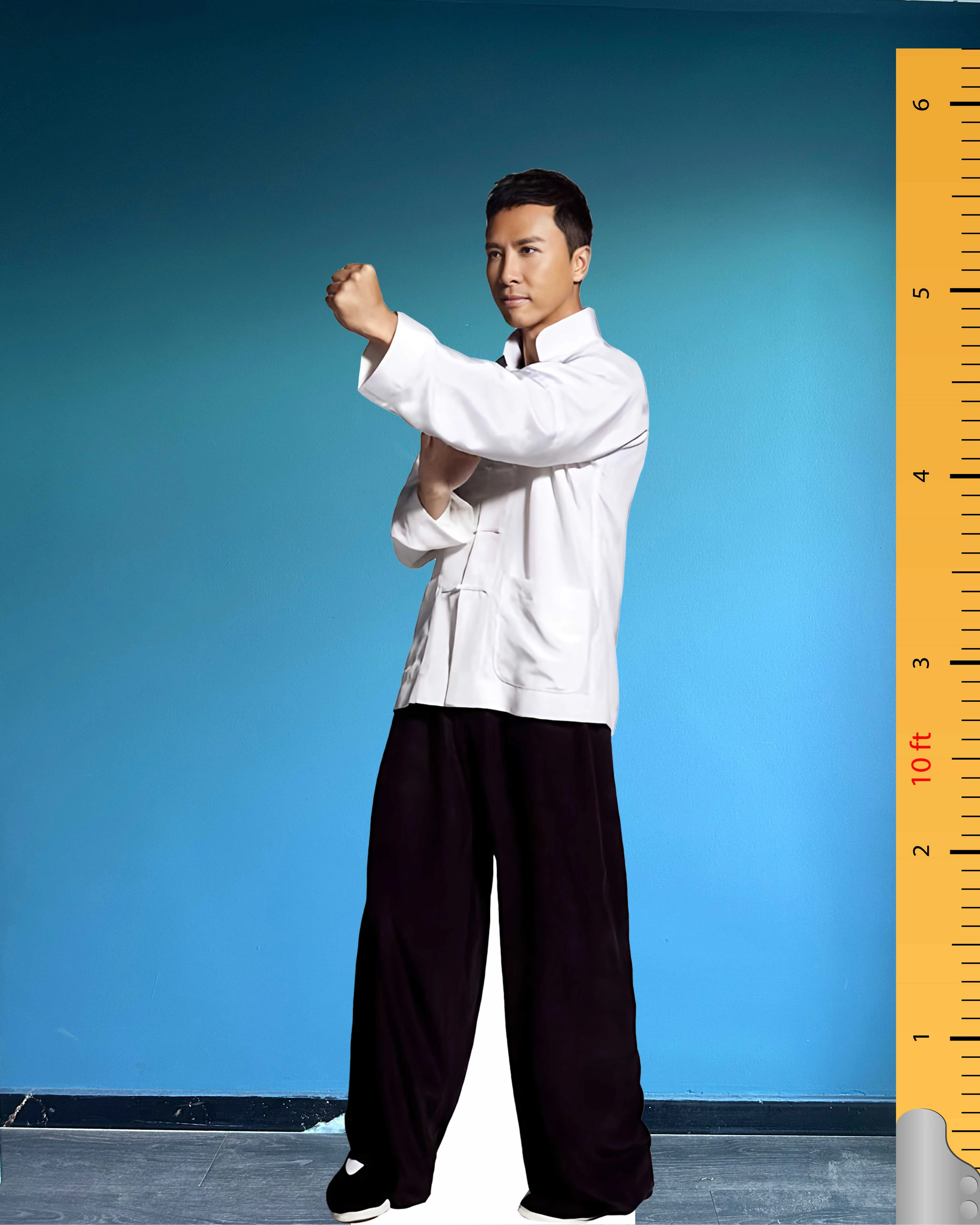 🥋 Donnie Yen (Ip Man) Life Size Cardboard Cutout – Hong Kong Martial Arts Legend