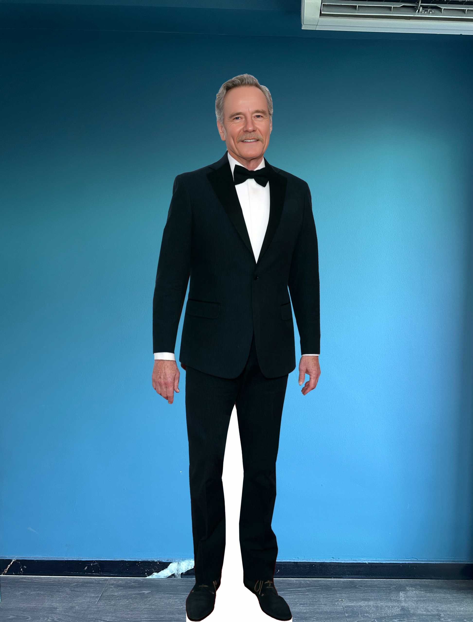 Bryan Cranston Cardboard Cutout Model Lee Cranston Life Size Standee Mockup