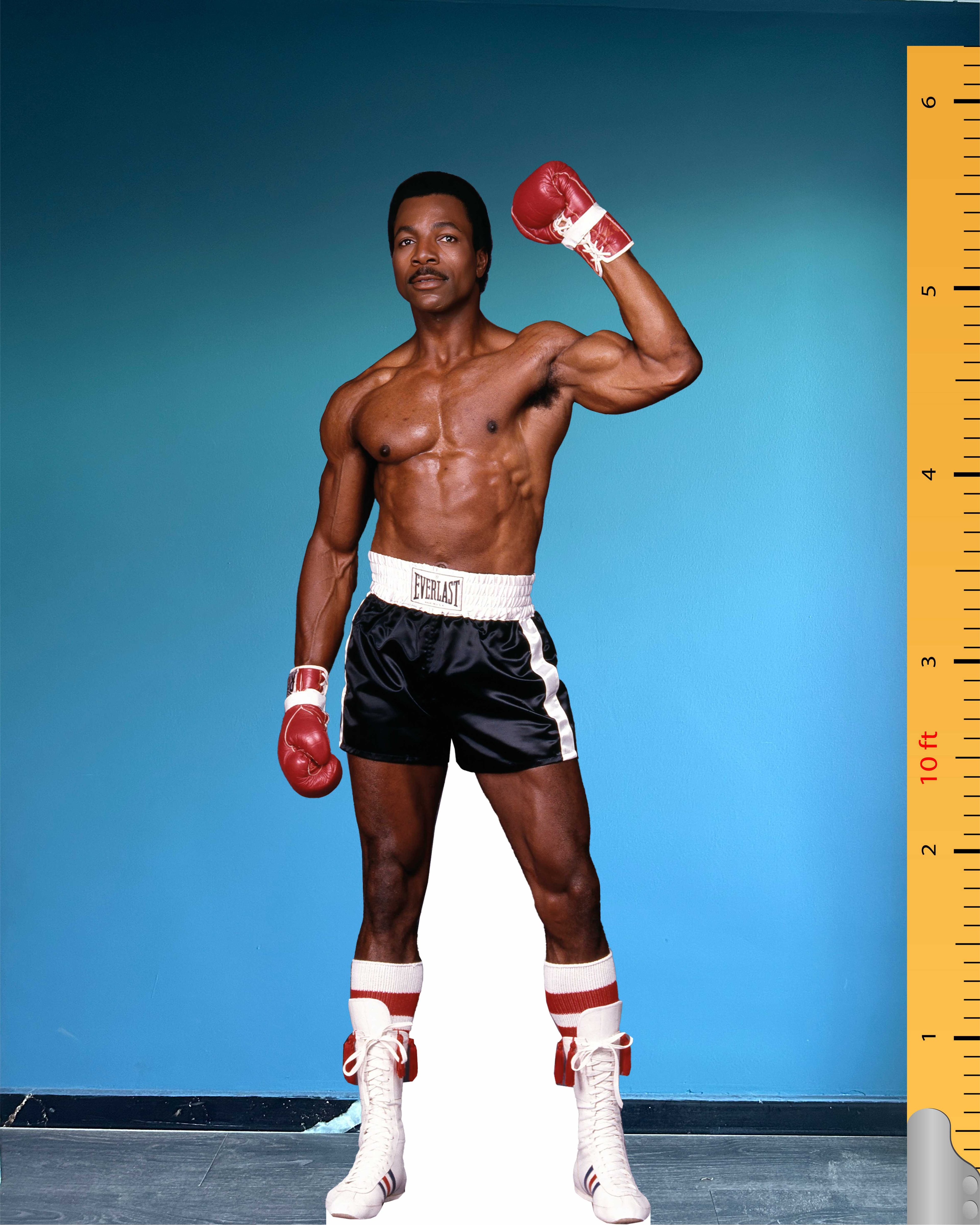 Carl Weathers Cardboard Cutout Model Life Size Plastic Standee Model 