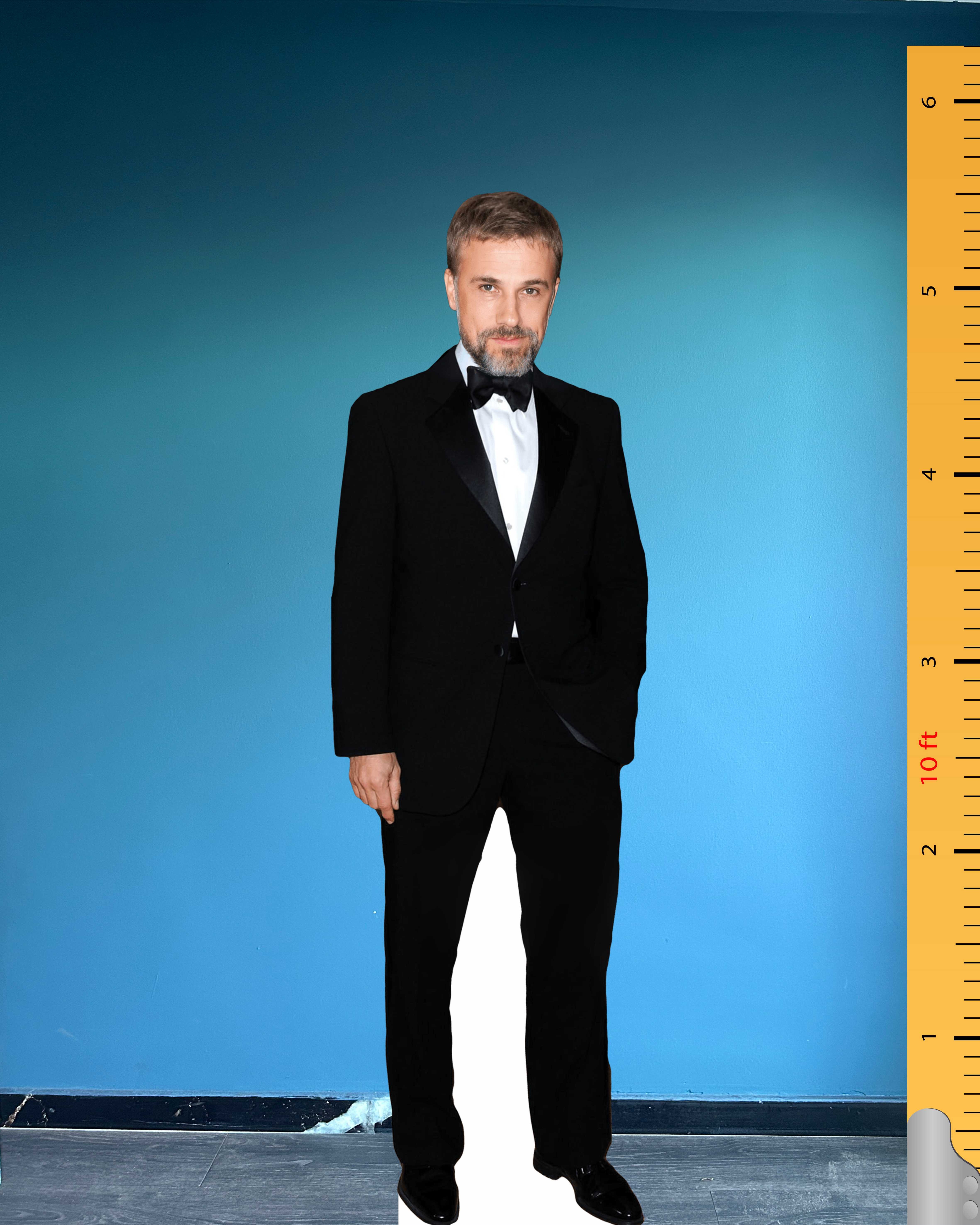 Christoph Waltz Life Size Cardboard Cutout Model Standee Plastic Celebrity Cutouts