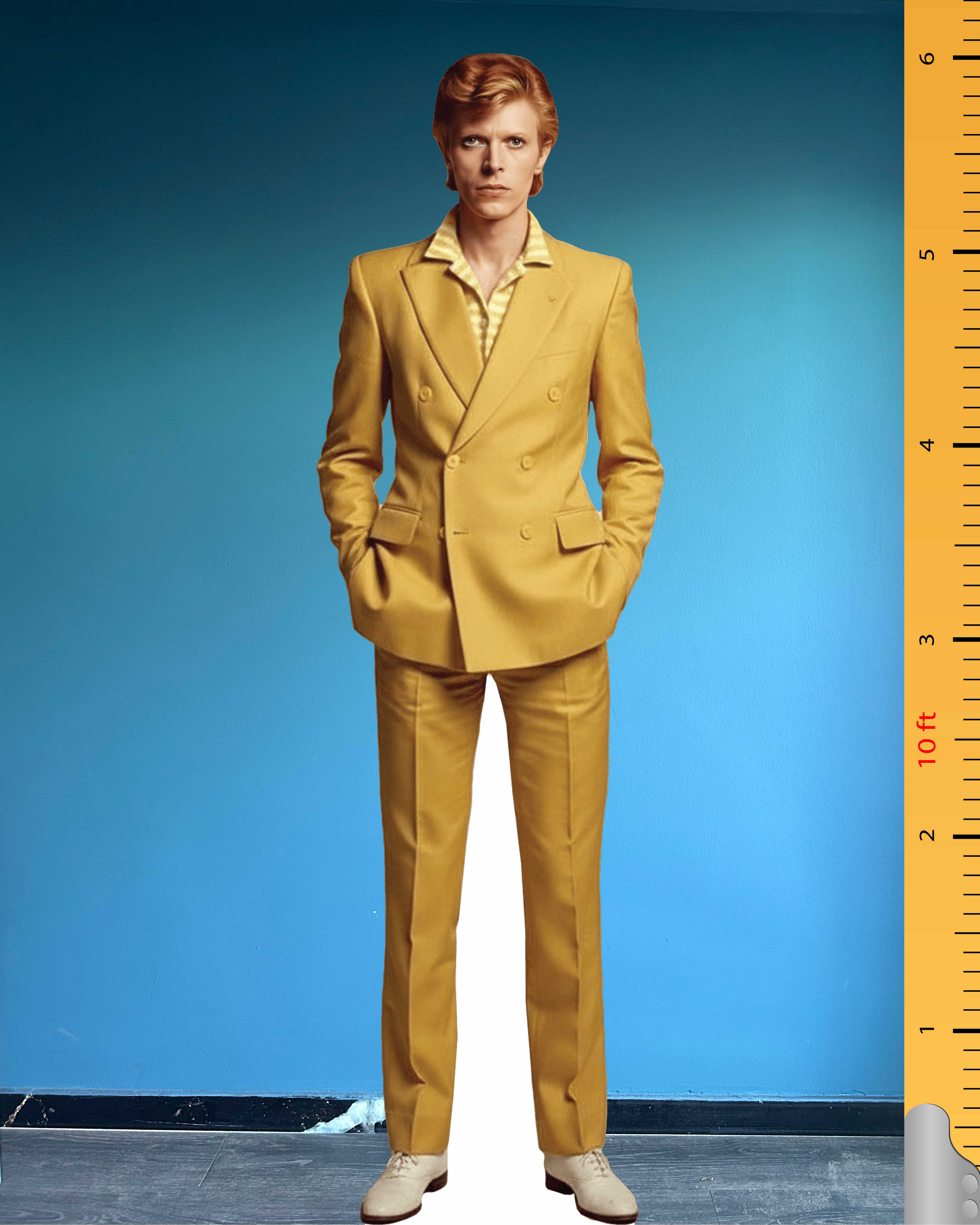 🌟 David Bowie Cardboard Figure – Life-Size Standee Model of the British Music Legend