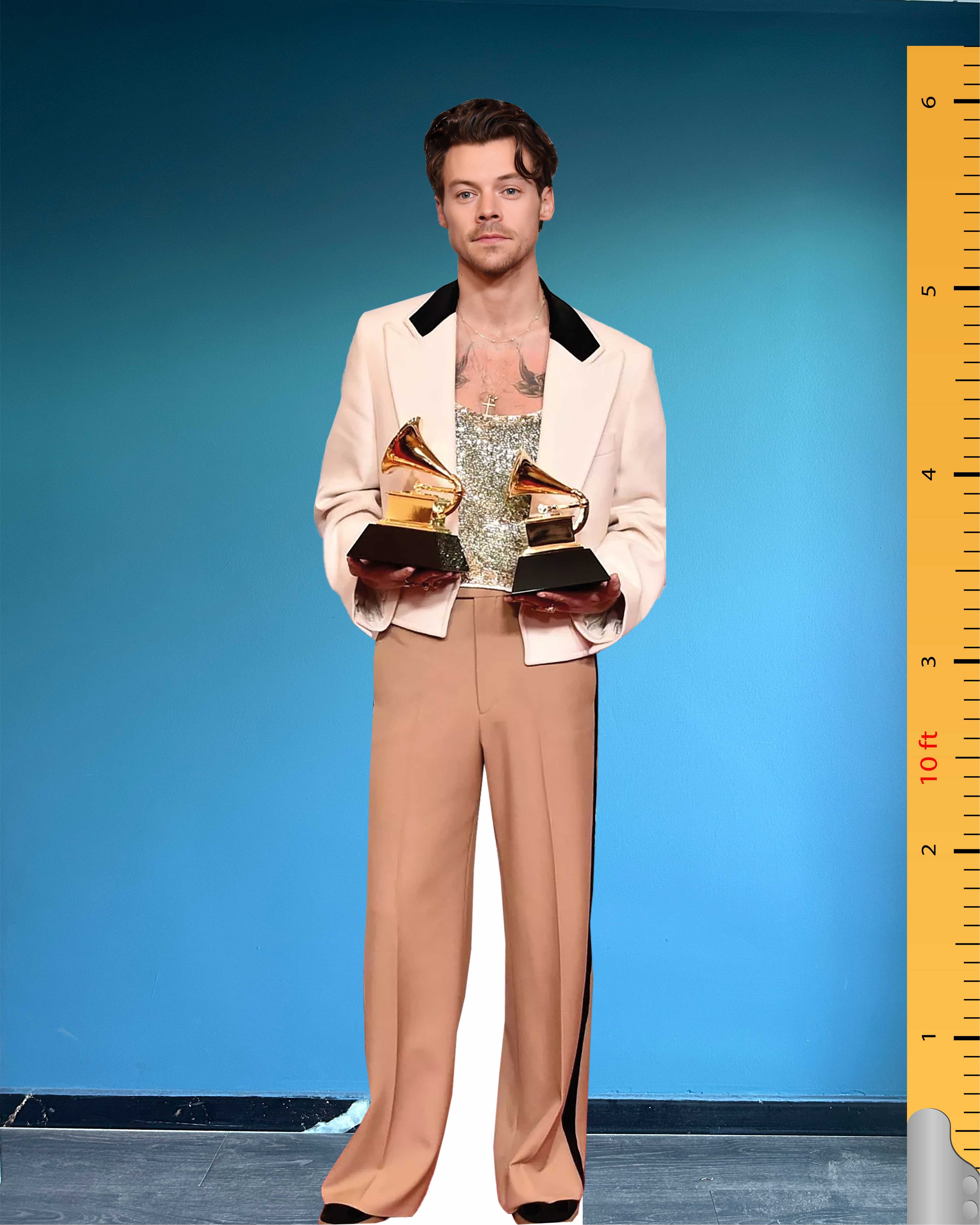 Harry Styles Cardboard Cutout Model Harry Edward Styles Life Size Plastic Standee Model 