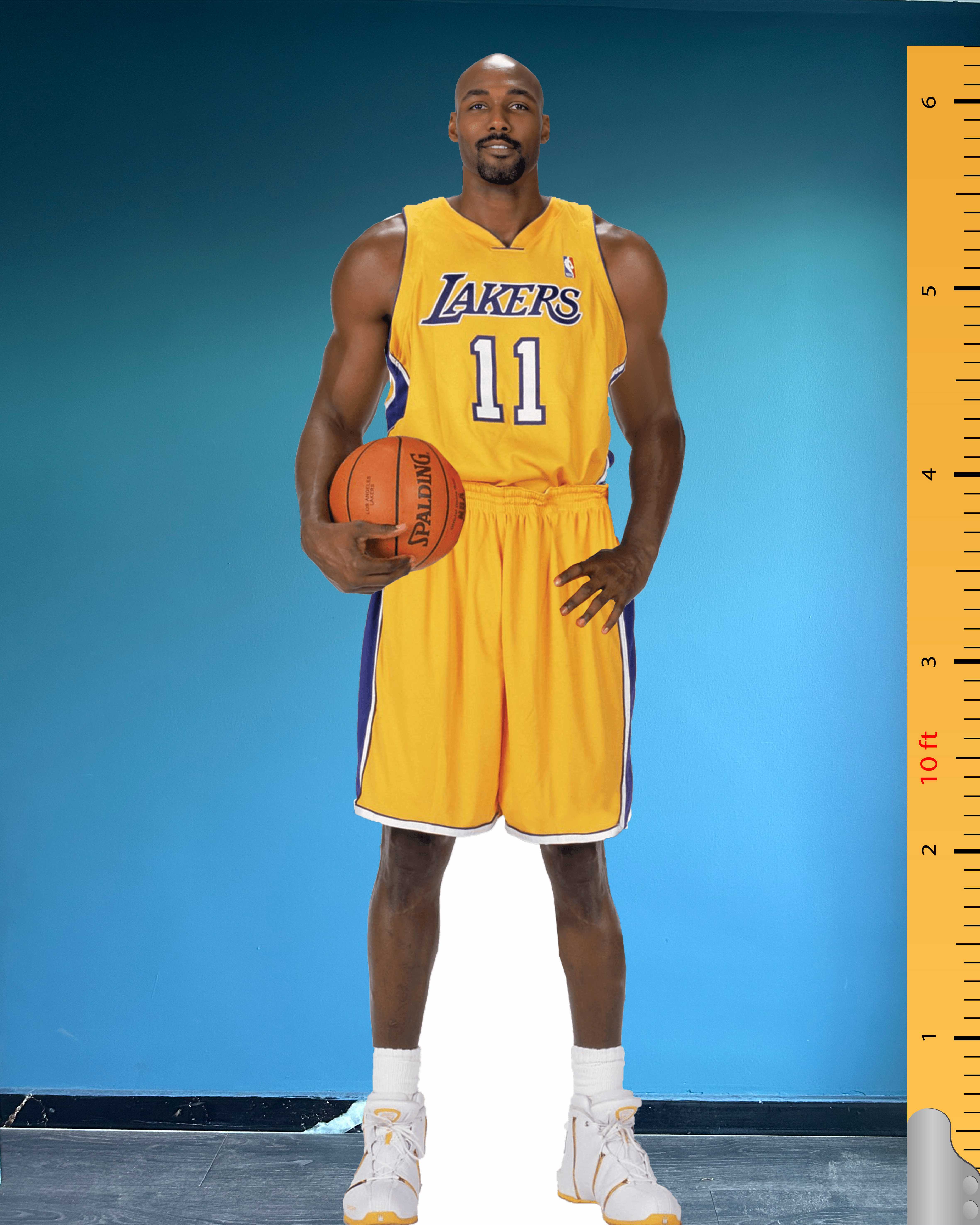 Karl Malone Cardboard Cutout Model Plastic Standee LA Lakers Team Number 11