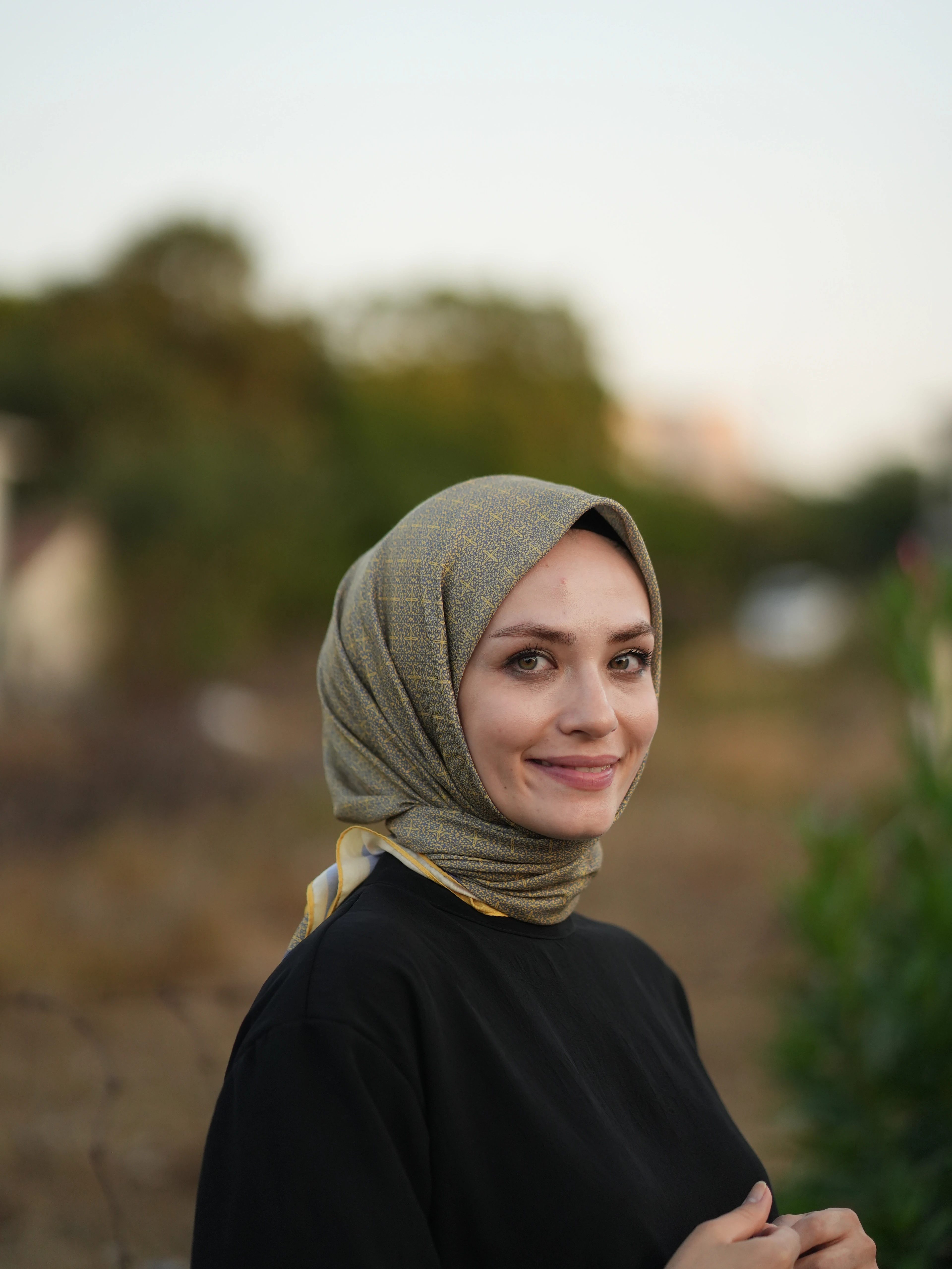 SARI thumbnail image