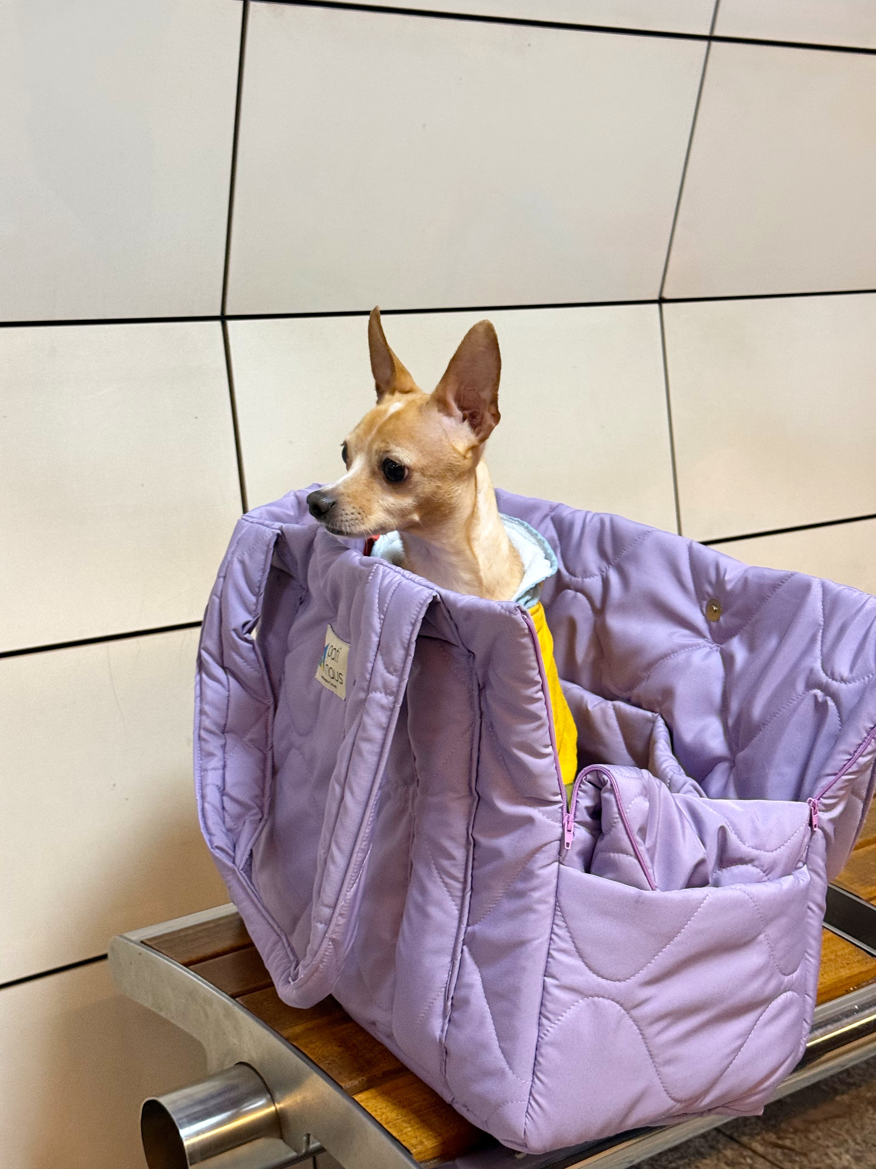 Juno Soft Lilac Kedi ve Köpek Taşıma Çantası