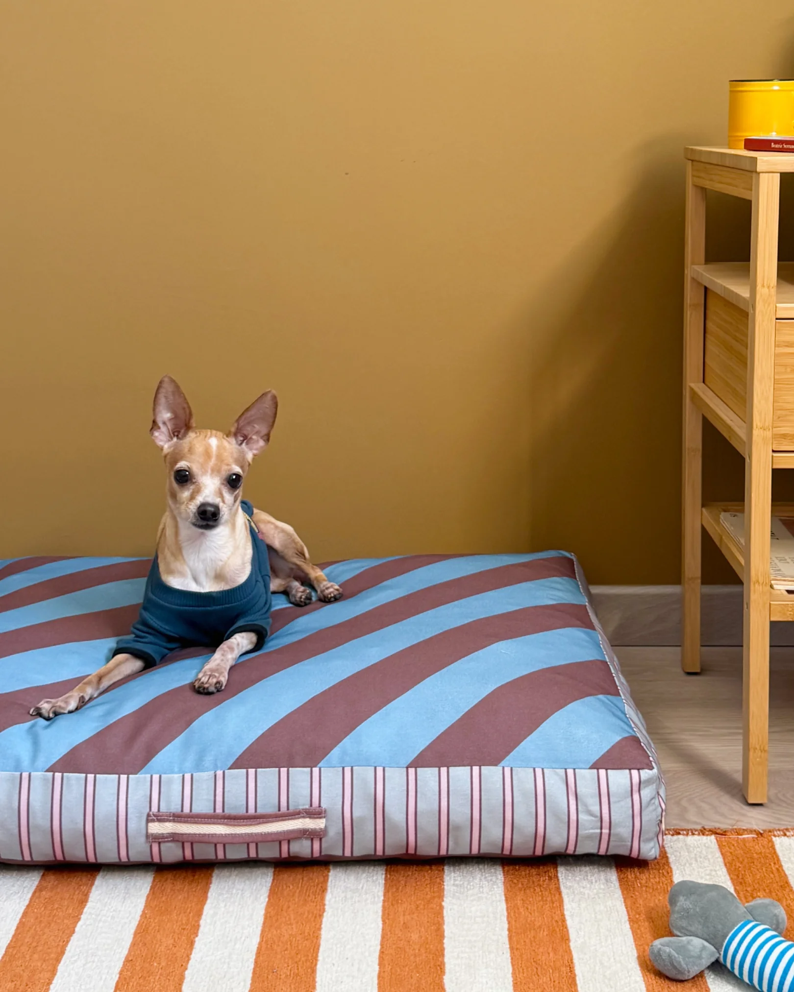 Haveny Minder Kedi ve Köpek Yatağı