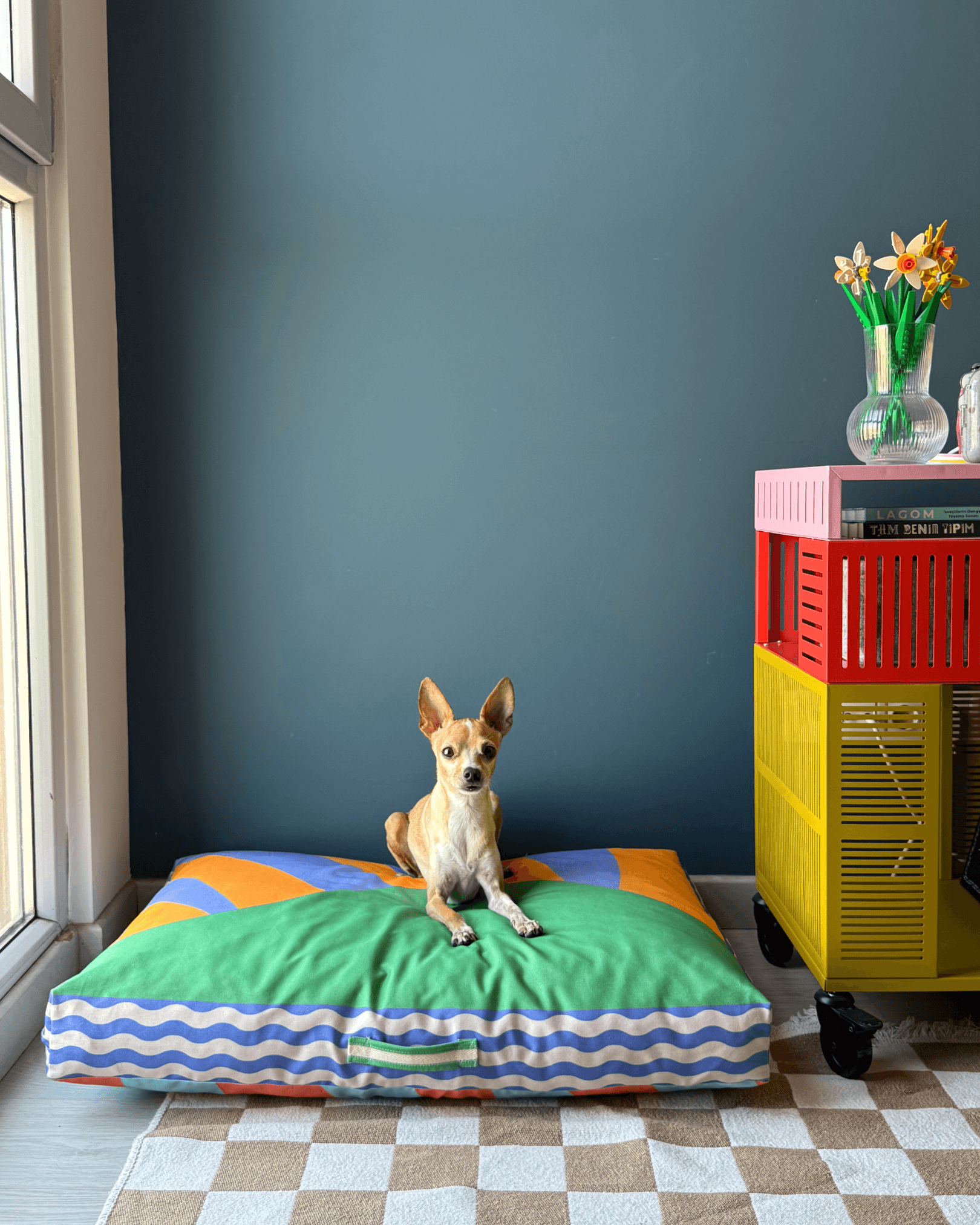 Meadly Minder Kedi ve Köpek Yatağı