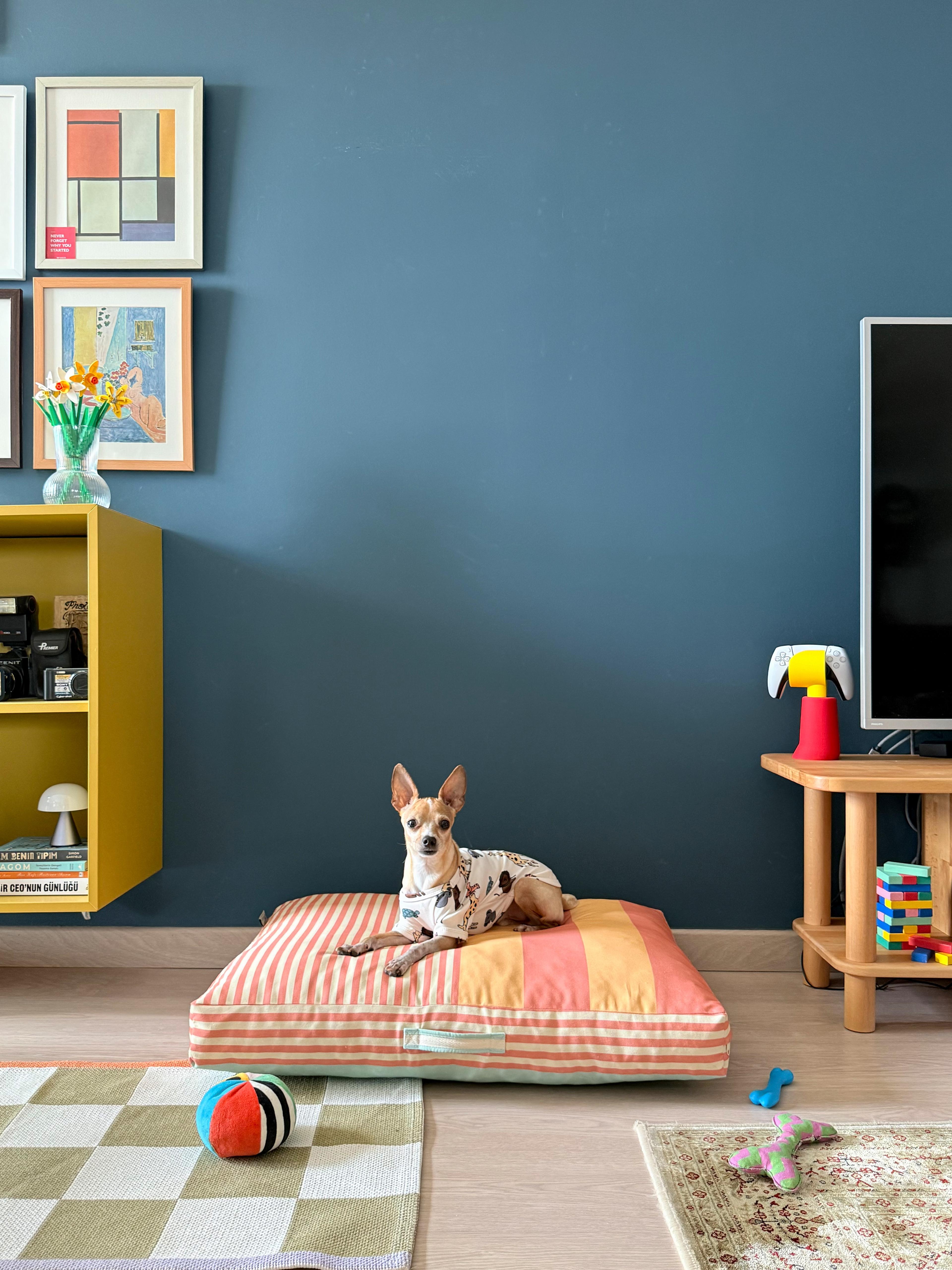 Saltly Minder Kedi ve Köpek Yatağı