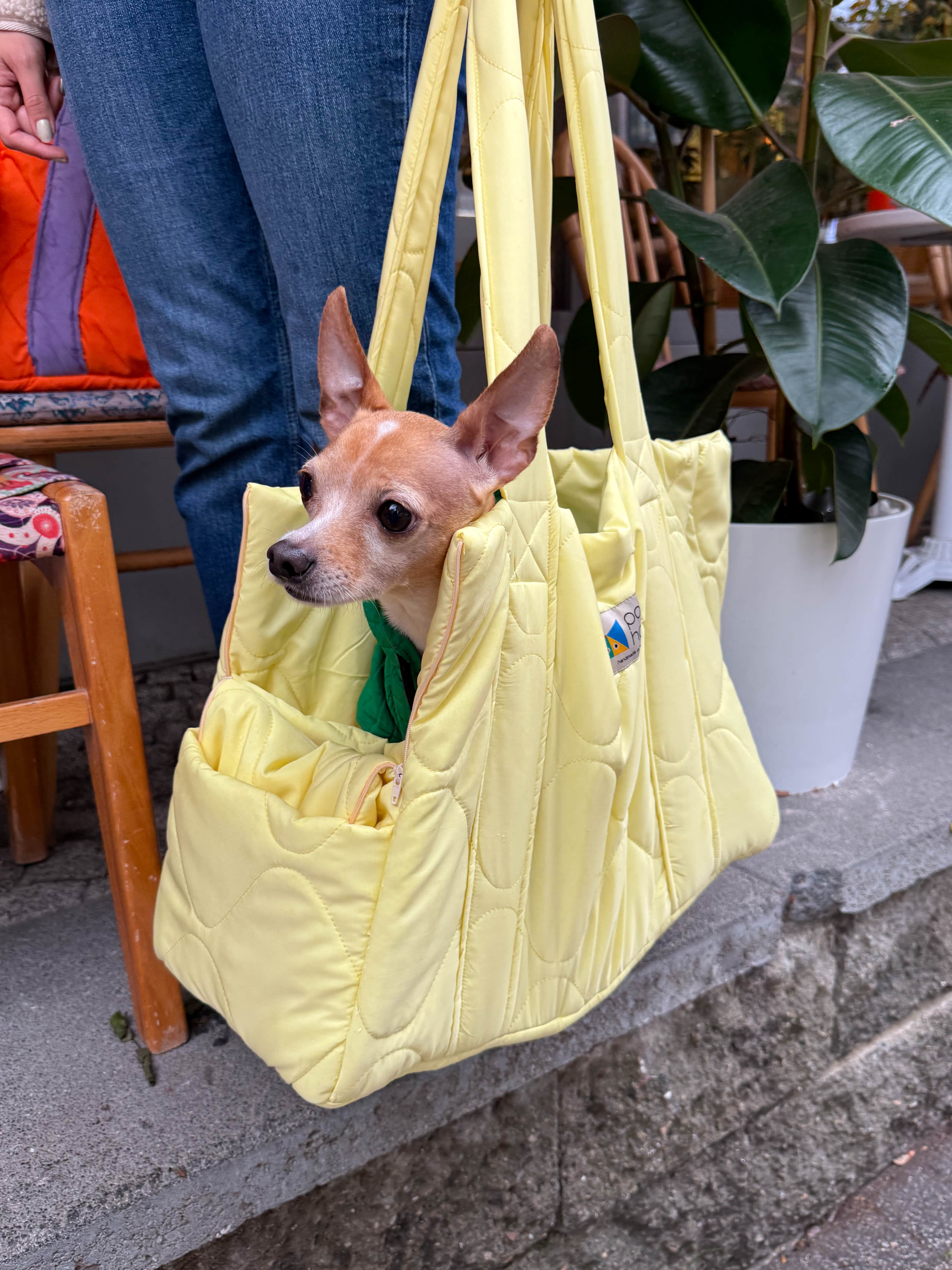 Juno Butter Yellow Kedi ve Köpek Taşıma Çantası