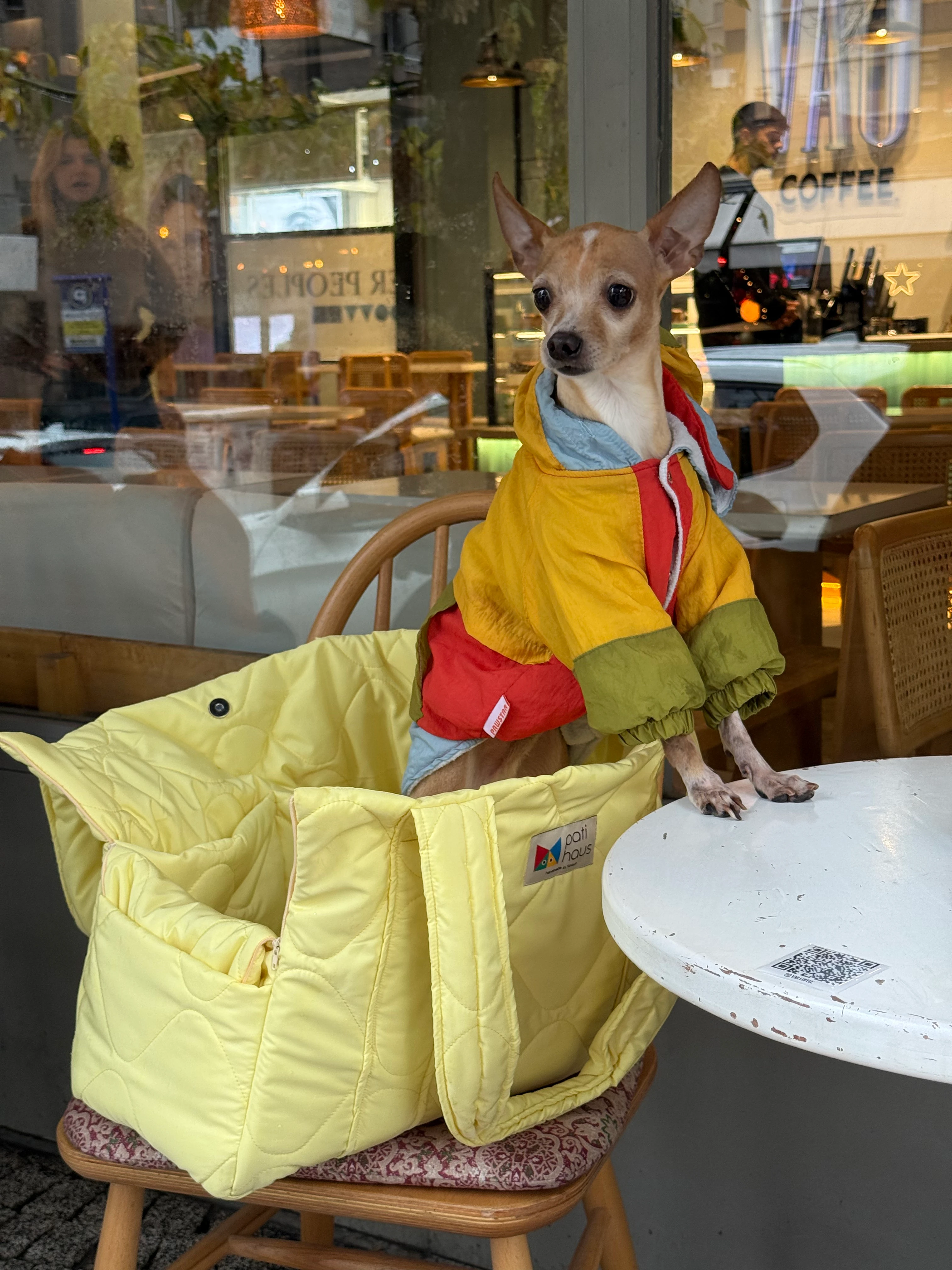 Juno Butter Yellow Kedi ve Köpek Taşıma Çantası