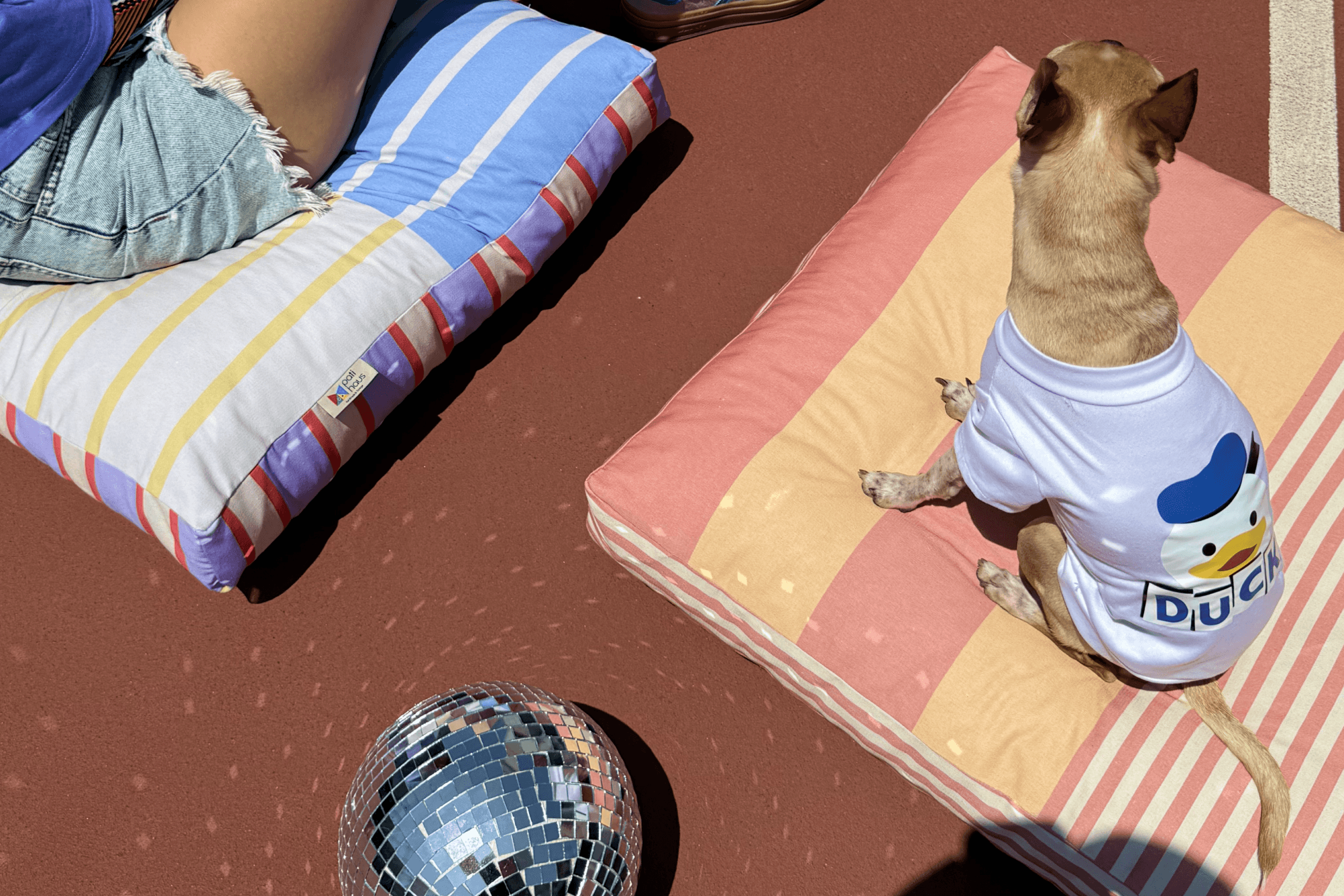 Saltly Minder Kedi ve Köpek Yatağı