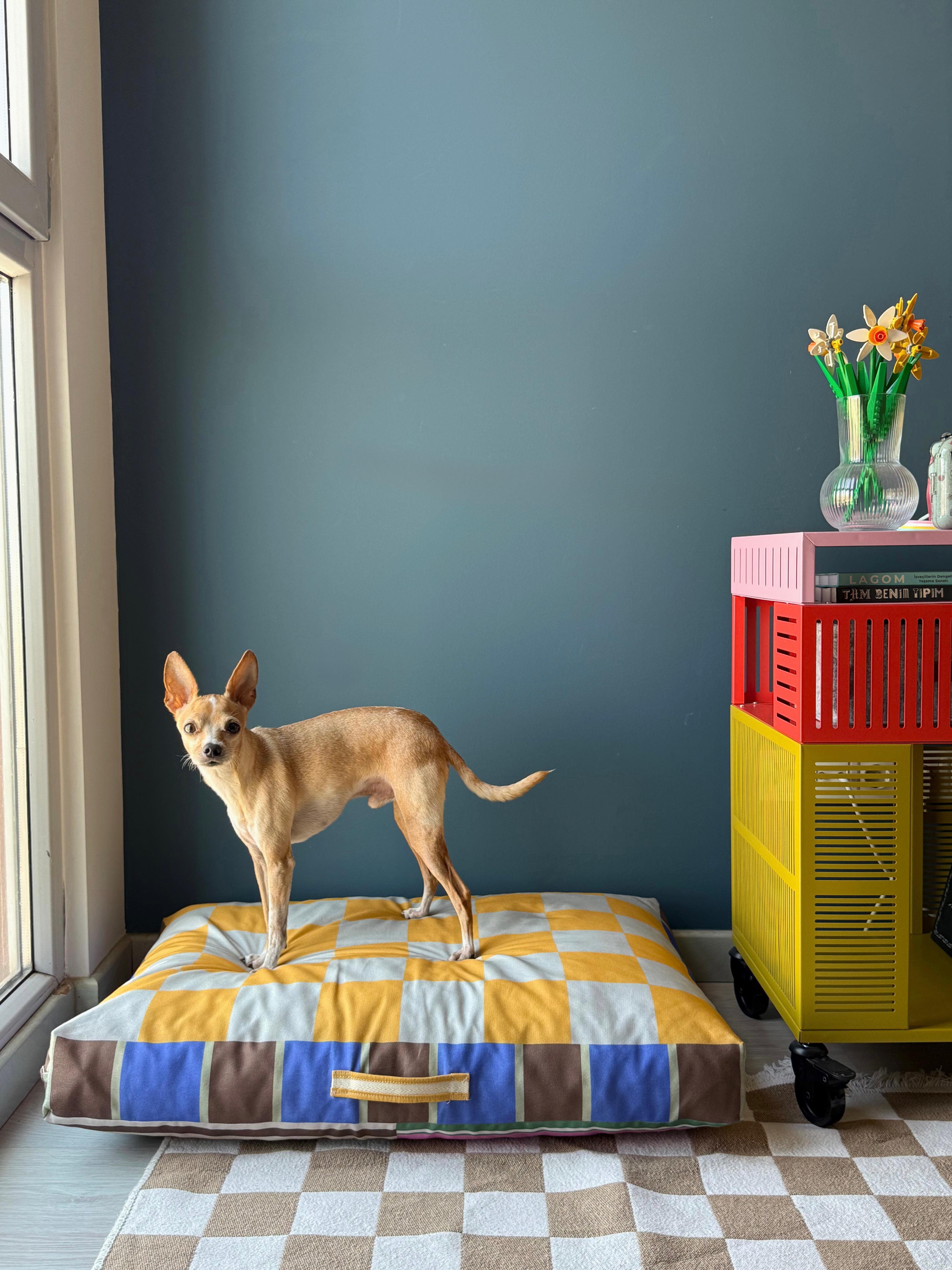 Cosbly Minder Kedi ve Köpek Yatağı