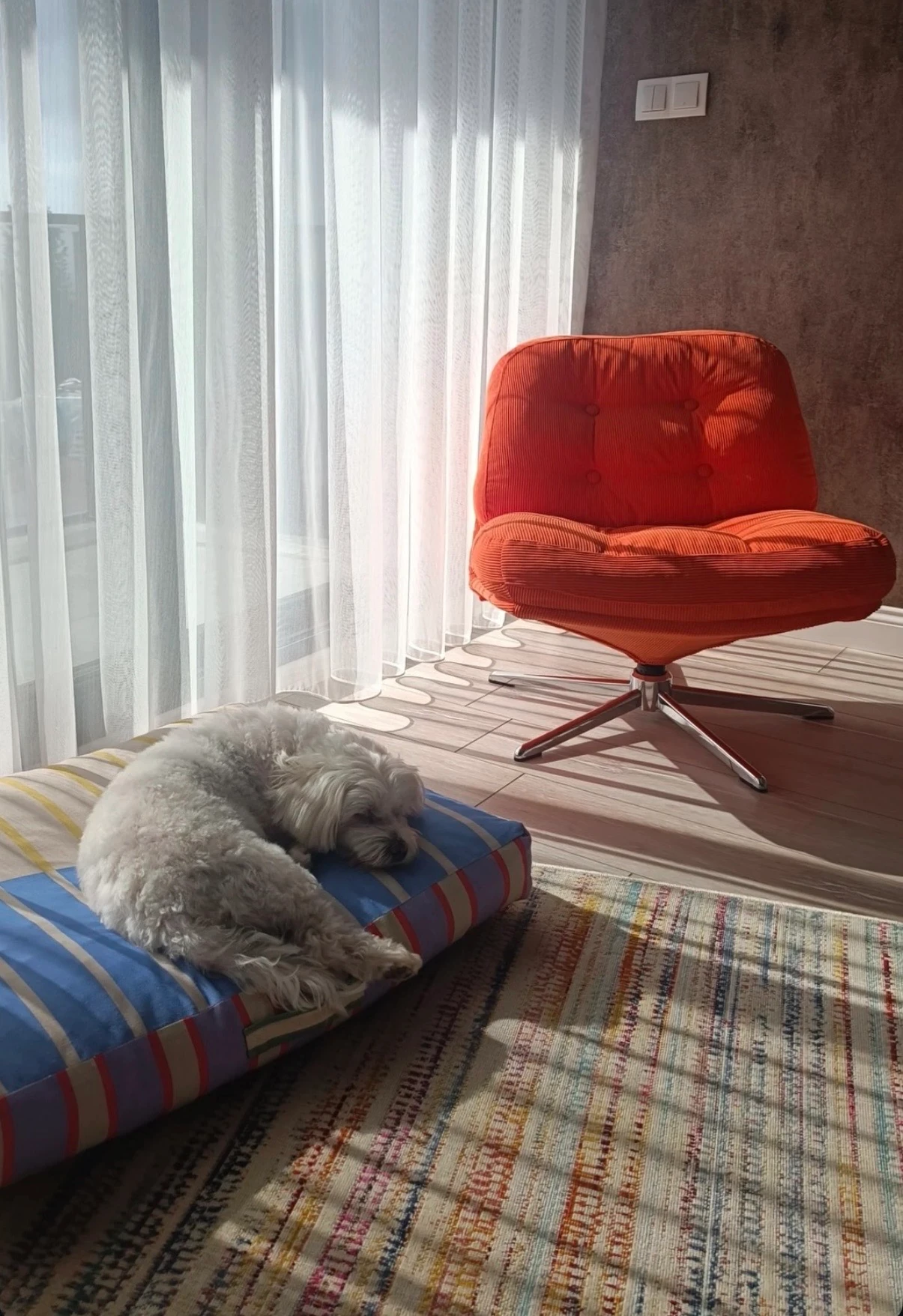 Taffly Minder Kedi ve Köpek Yatağı