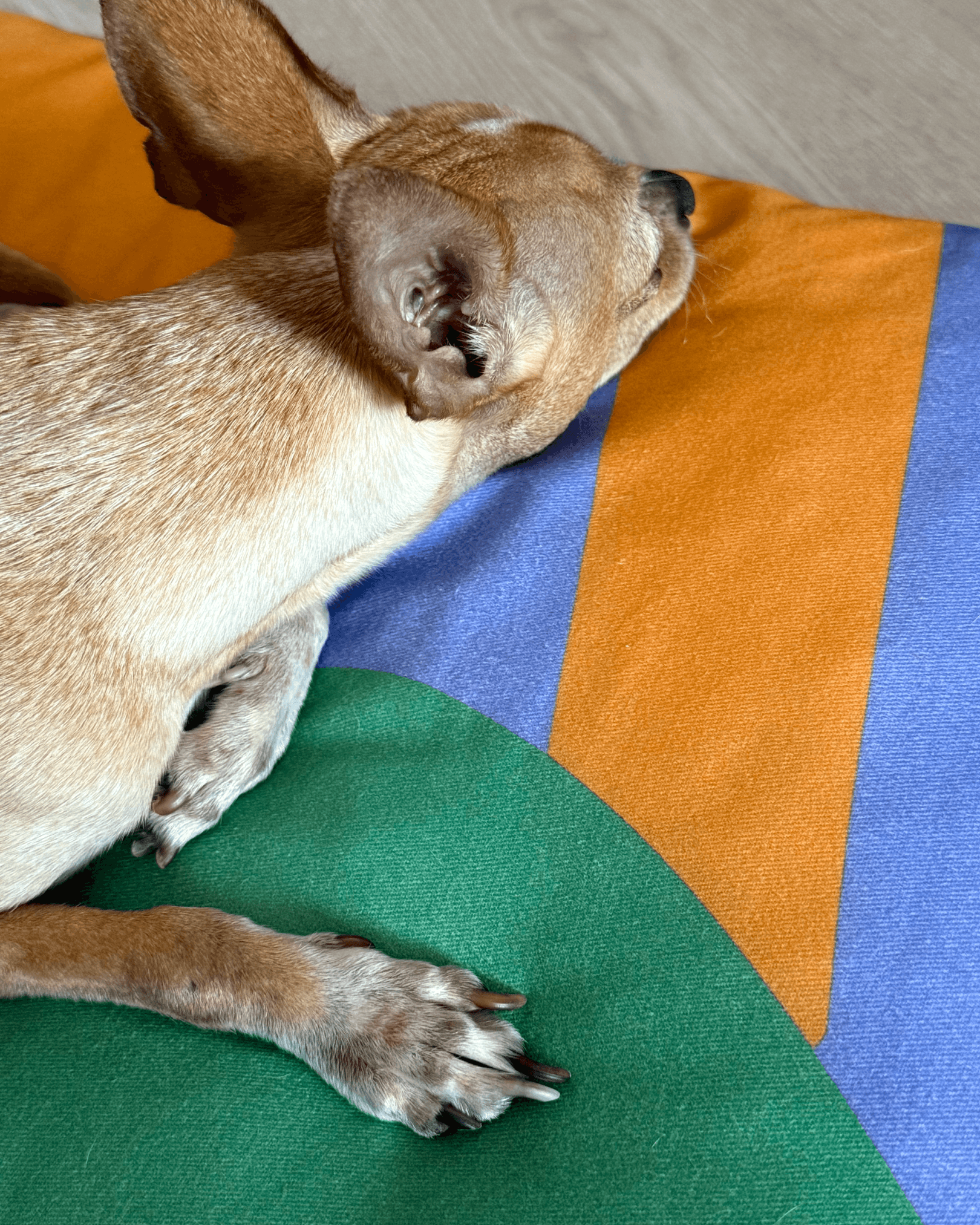 Meadly Minder Kedi ve Köpek Yatağı