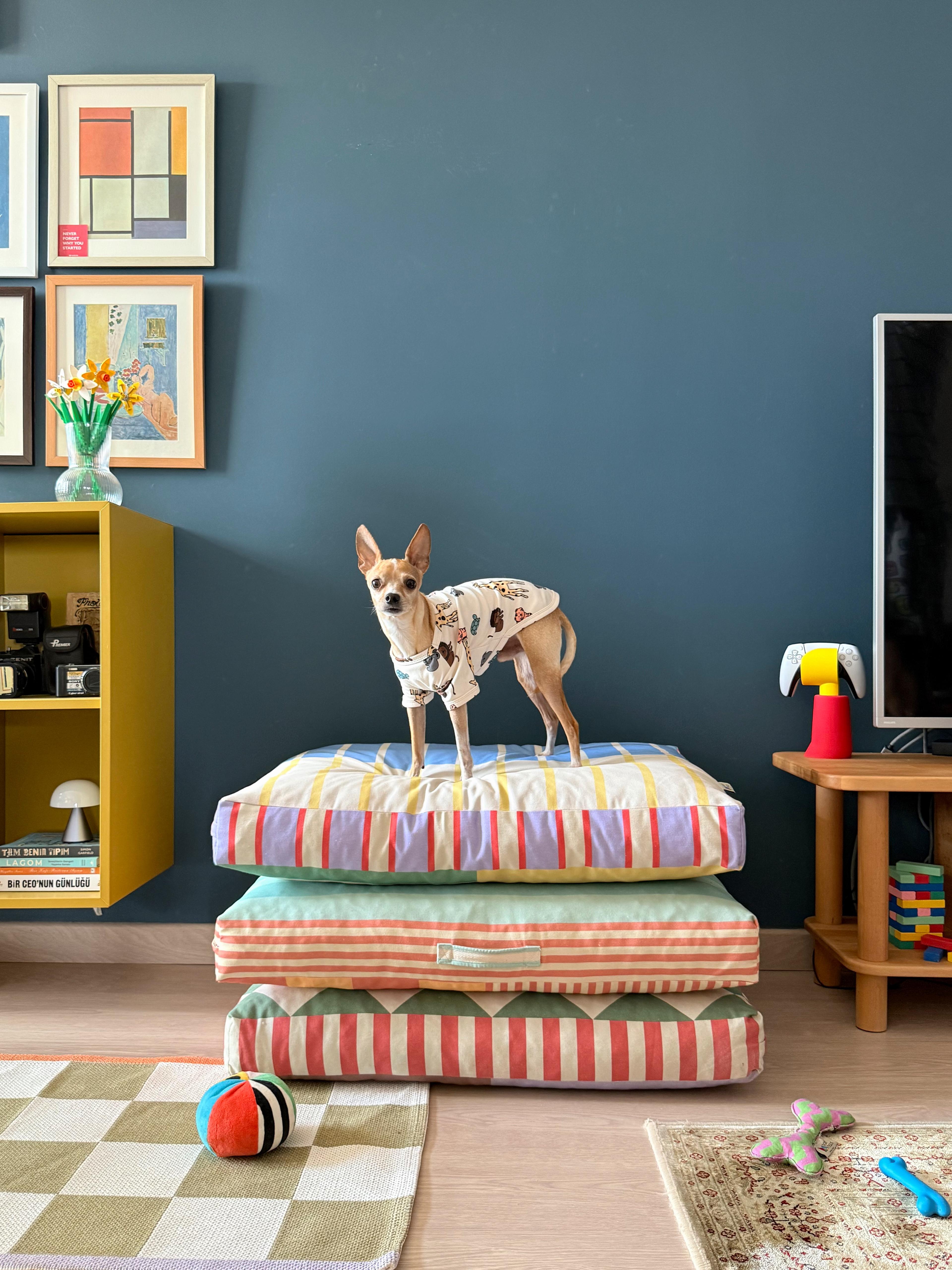 Taffly Minder Kedi ve Köpek Yatağı