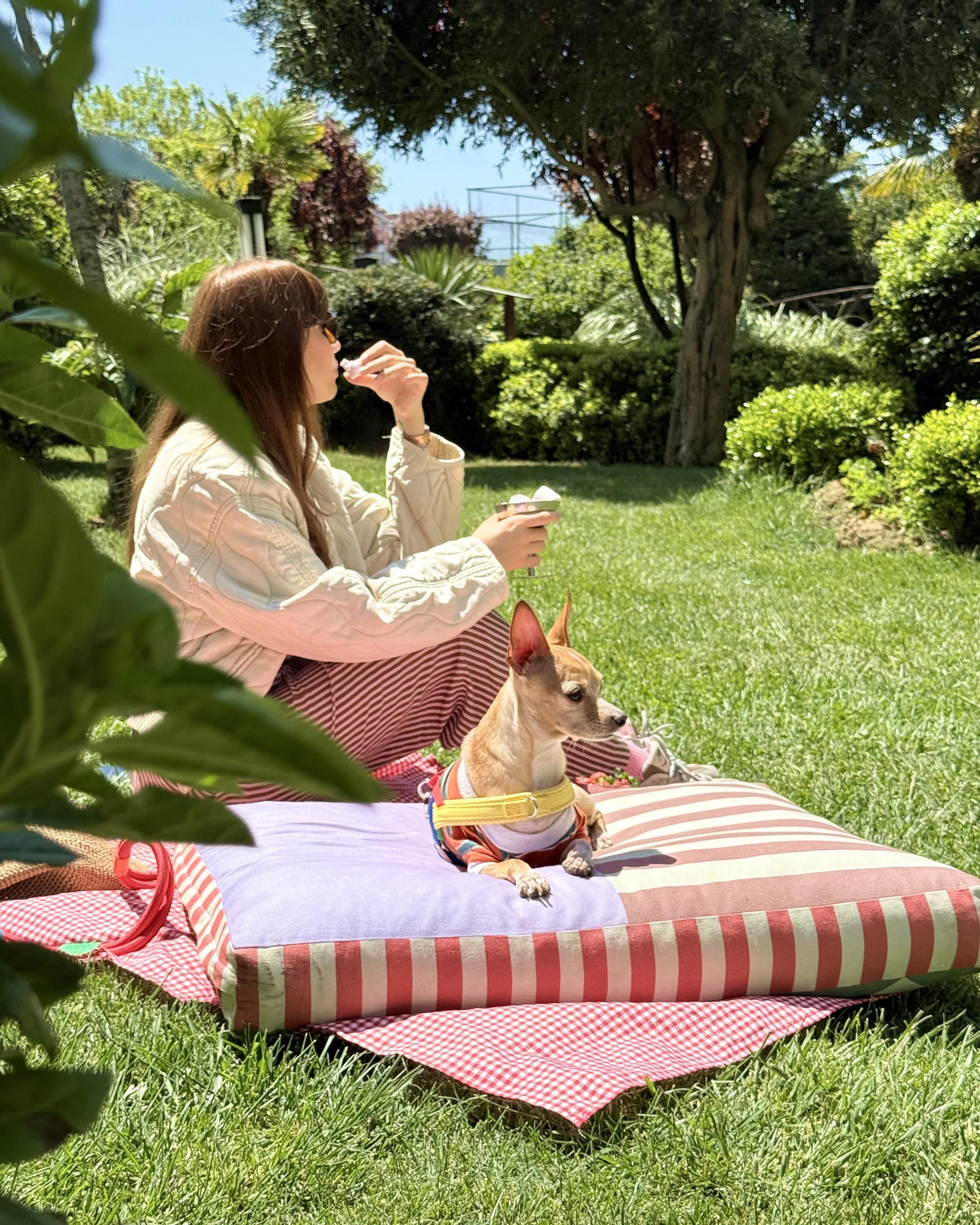 Ziggy Minder Kedi ve Köpek Yatağı