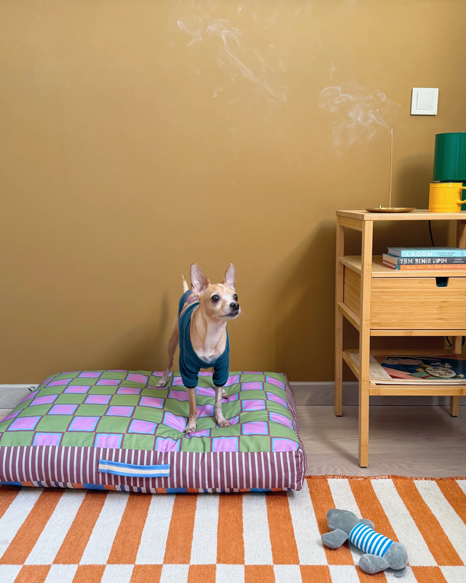 Aurely Minder Kedi ve Köpek Yatağı