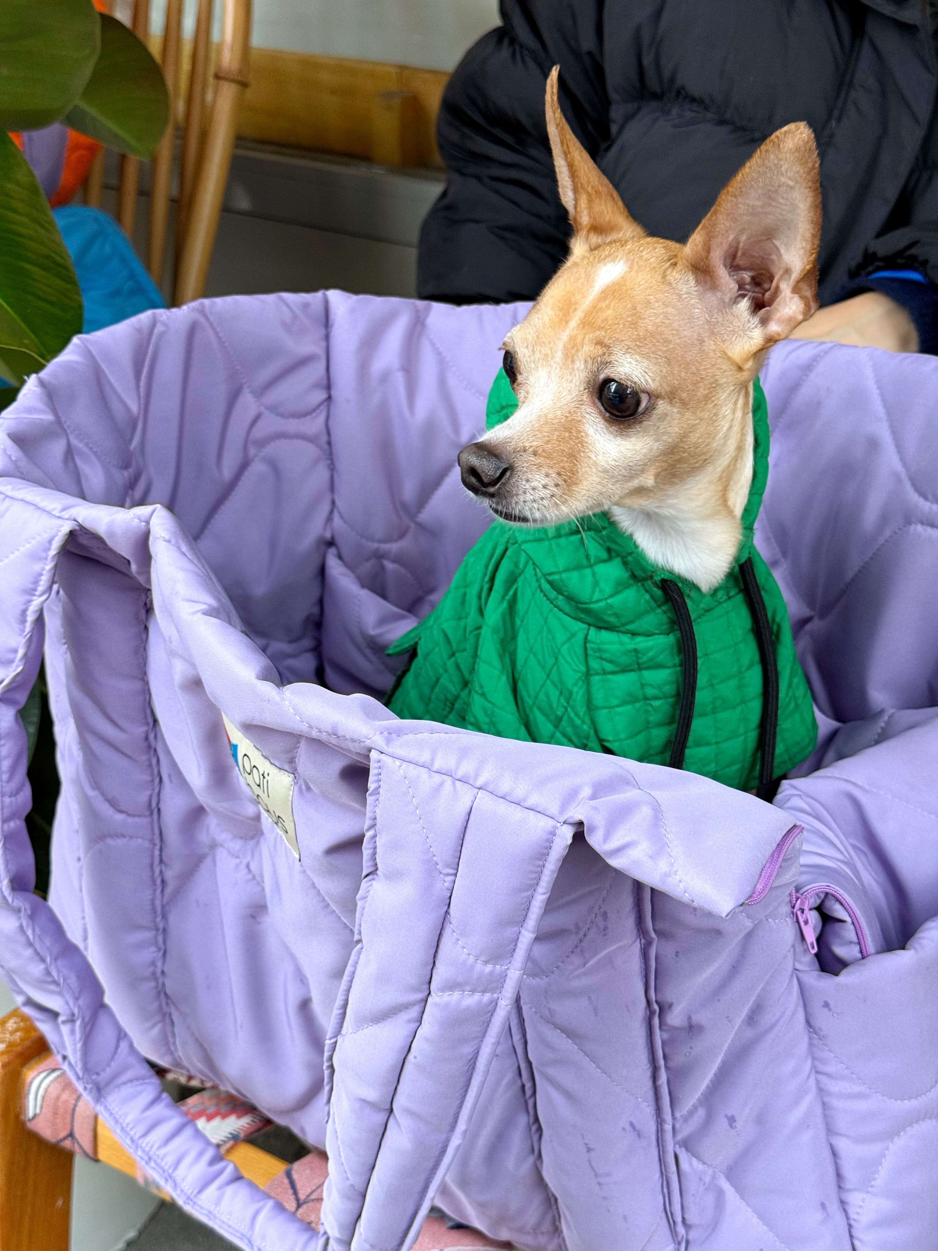 Juno Soft Lilac Kedi ve Köpek Taşıma Çantası