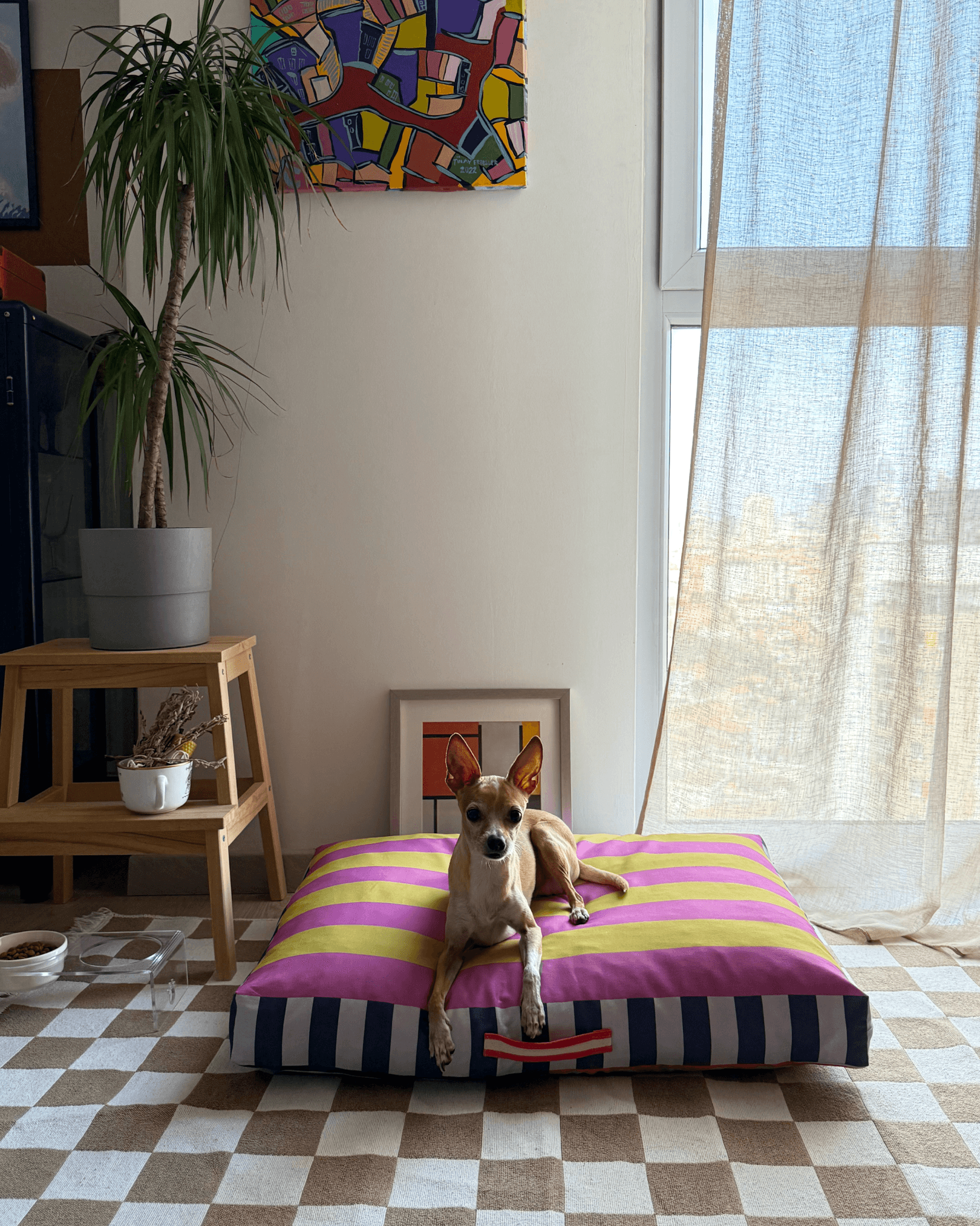 Journy Minder Kedi ve Köpek Yatağı