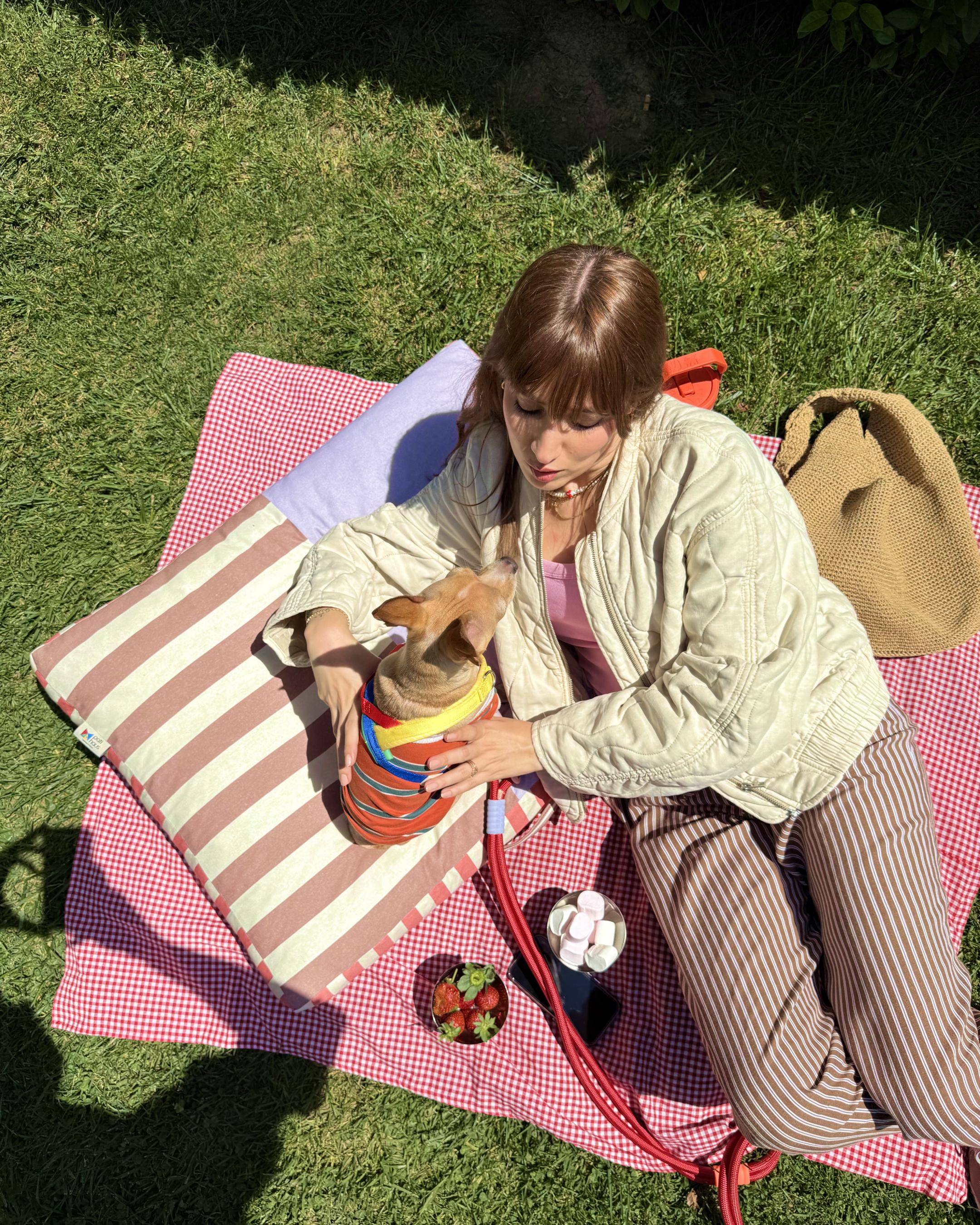 Ziggy Minder Kedi ve Köpek Yatağı