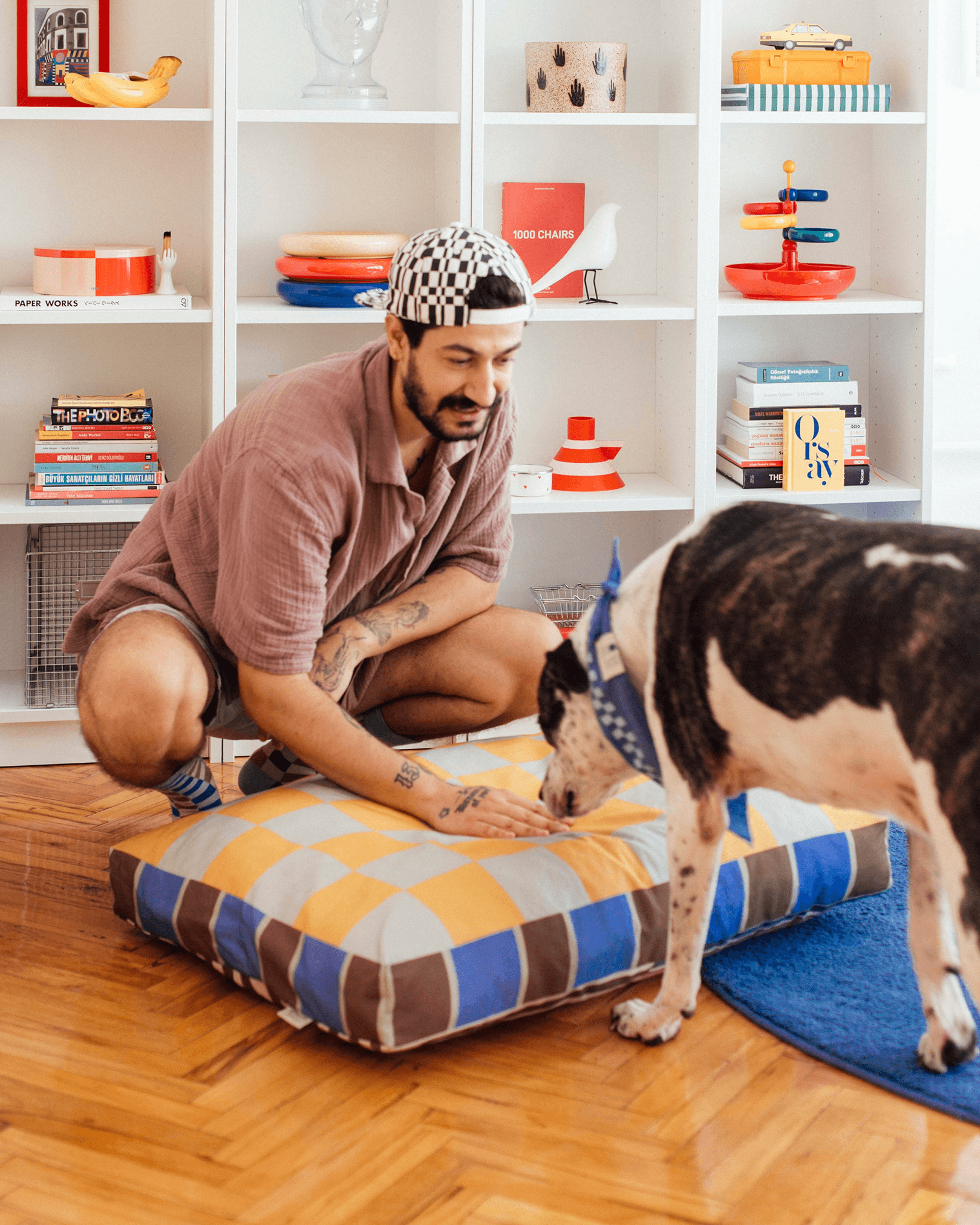 Cosbly Minder Kedi ve Köpek Yatağı
