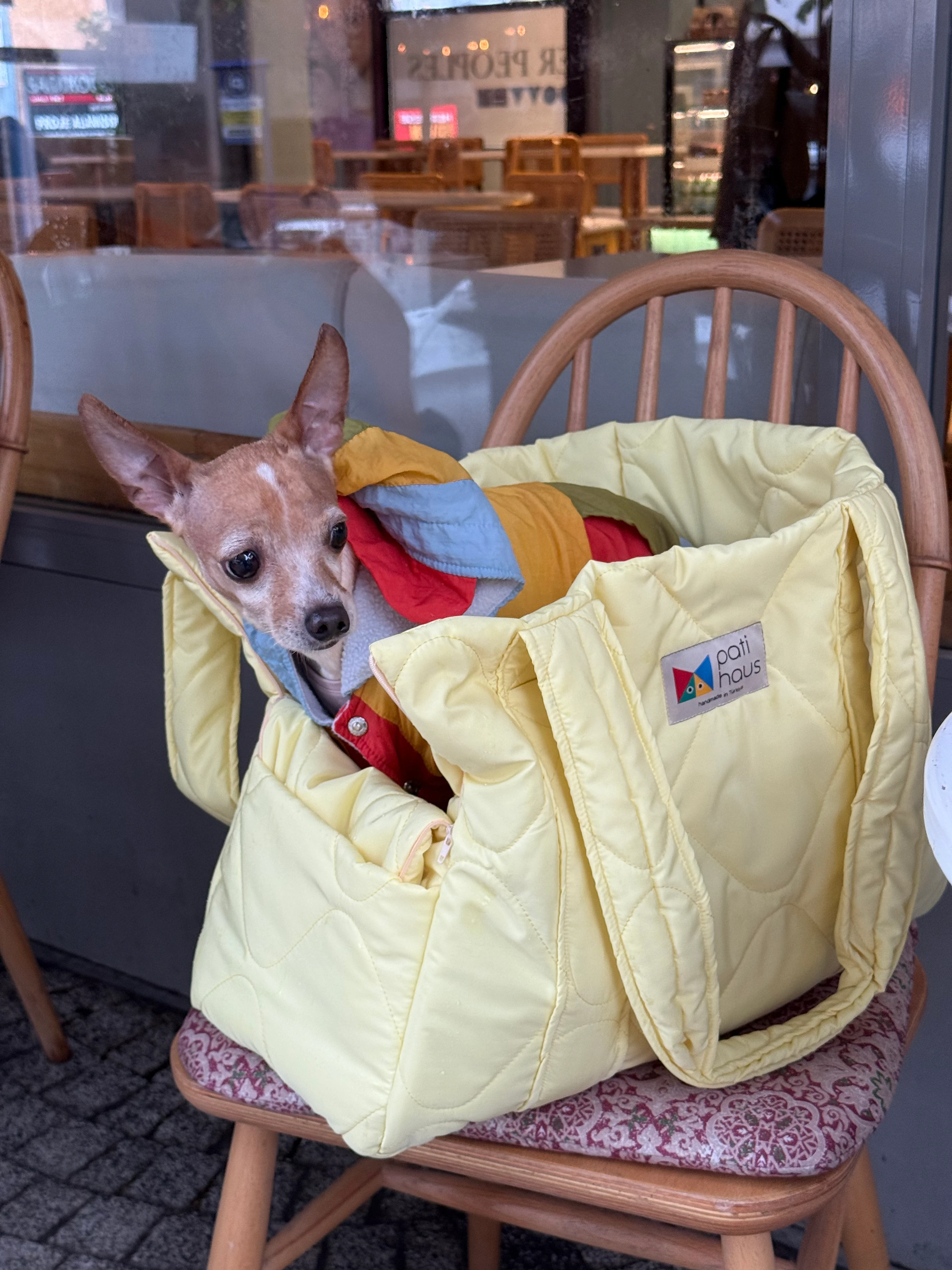 Juno Butter Yellow Kedi ve Köpek Taşıma Çantası