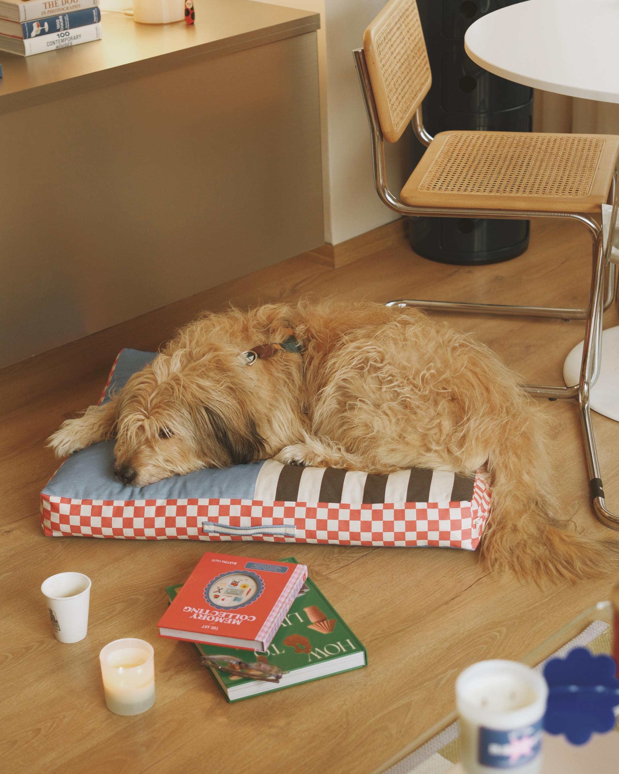 Oldskool Minder Kedi ve Köpek Yatağı