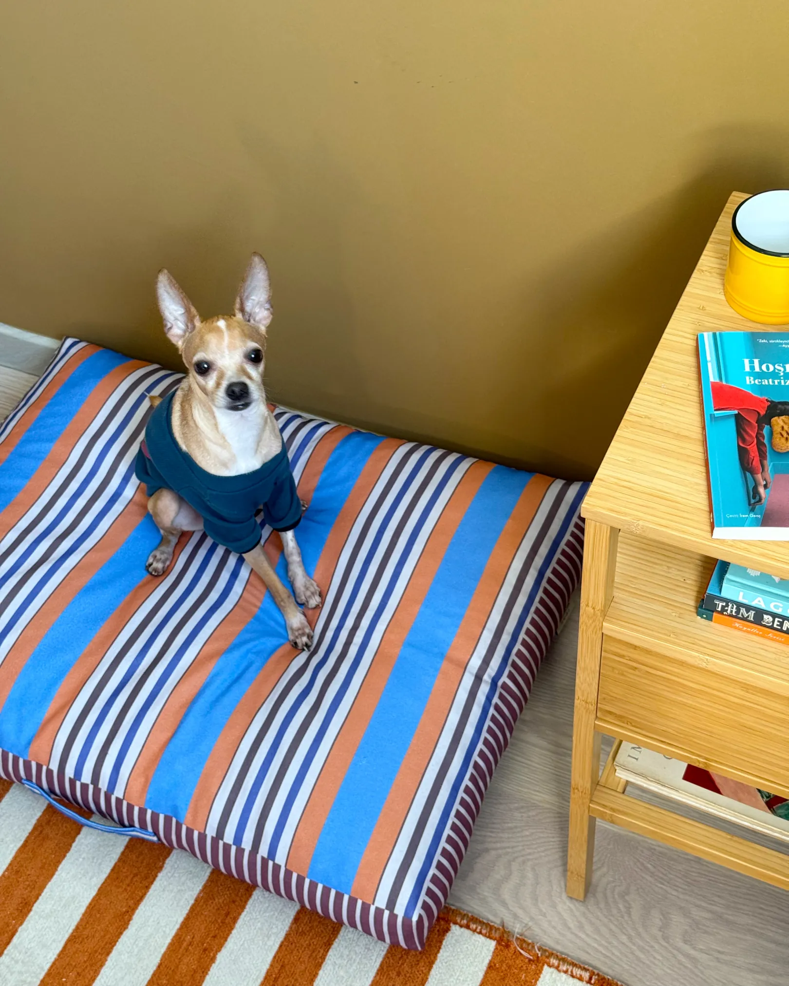 Aurely Minder Kedi ve Köpek Yatağı