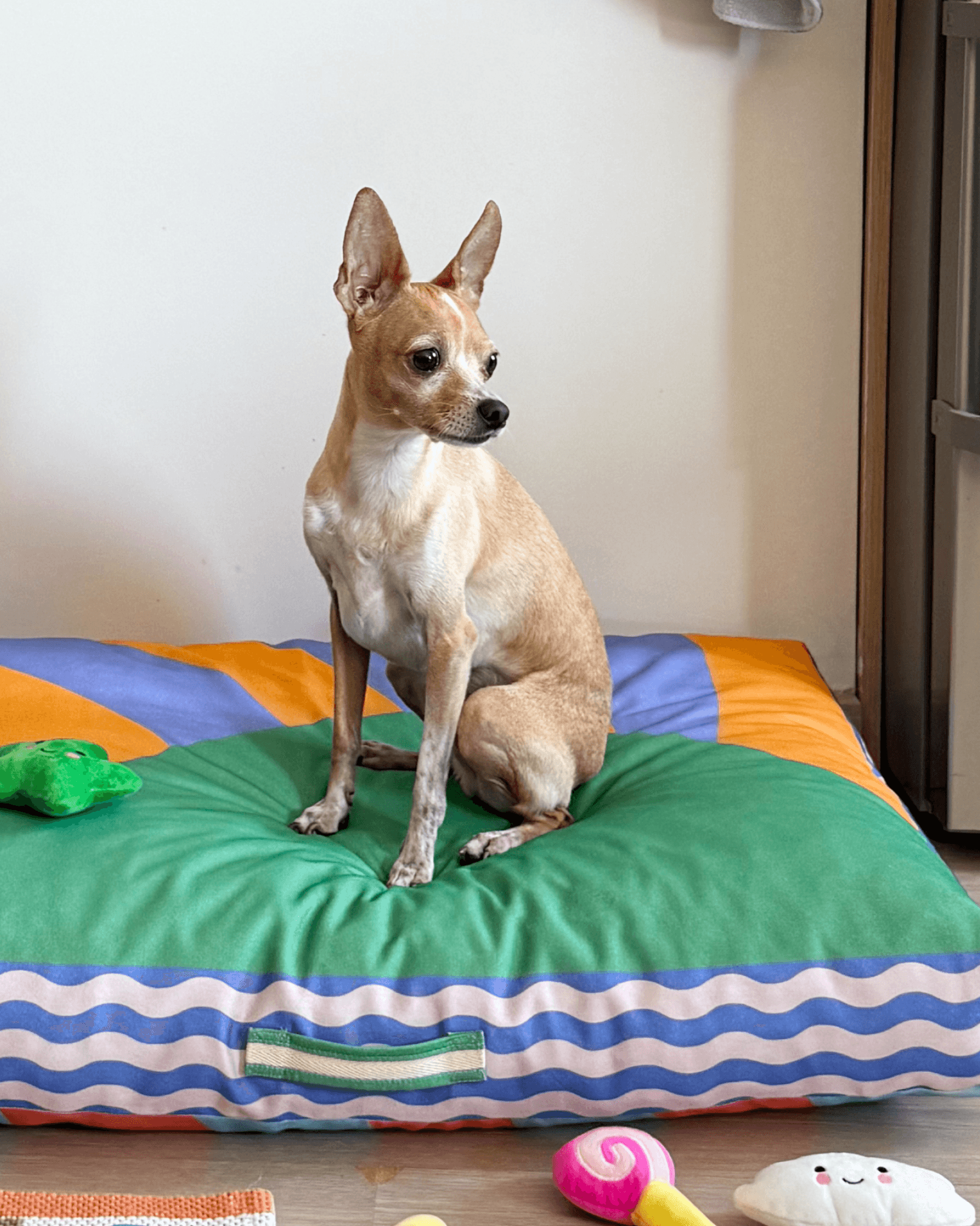 Meadly Minder Kedi ve Köpek Yatağı