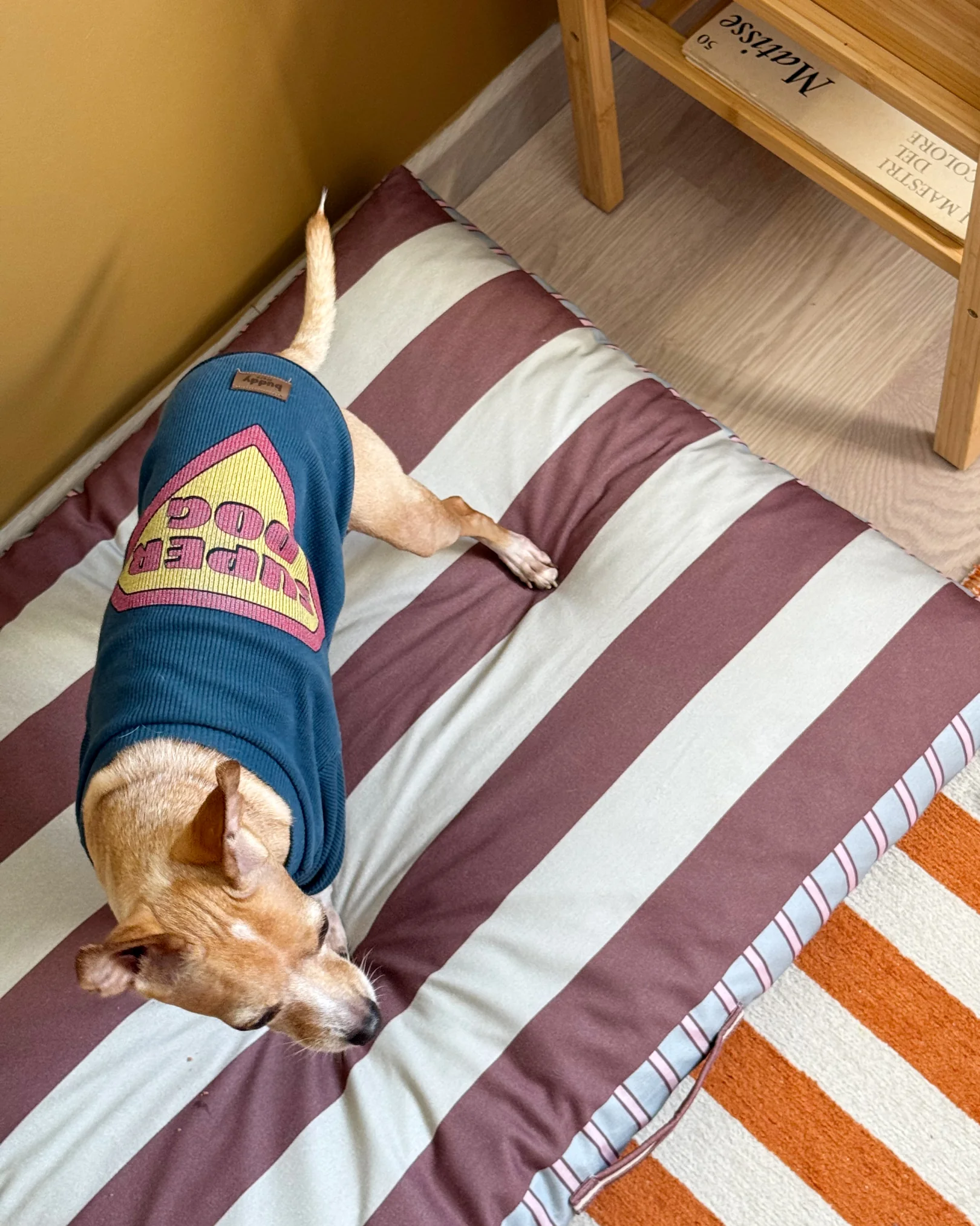 Haveny Minder Kedi ve Köpek Yatağı