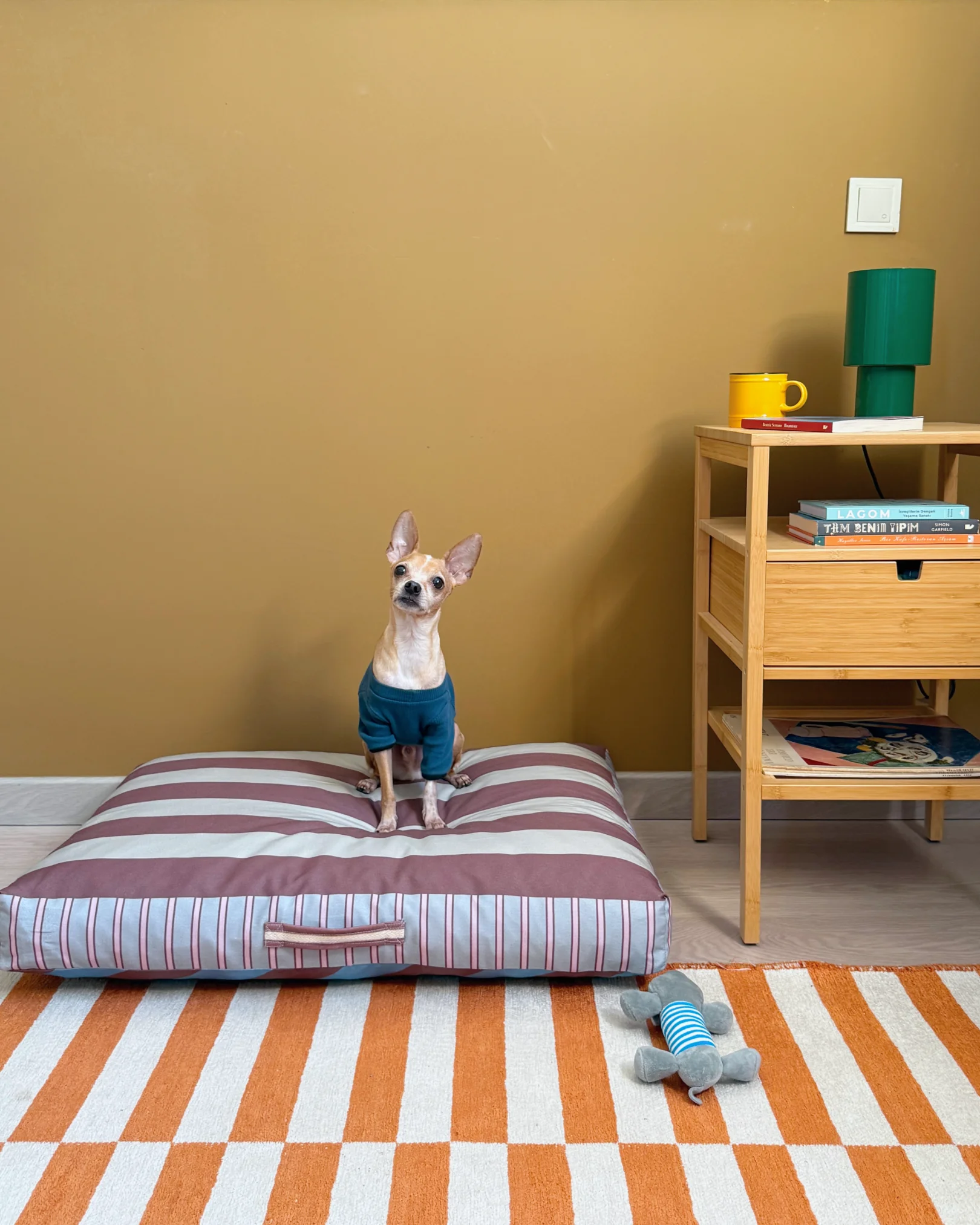 Haveny Minder Kedi ve Köpek Yatağı