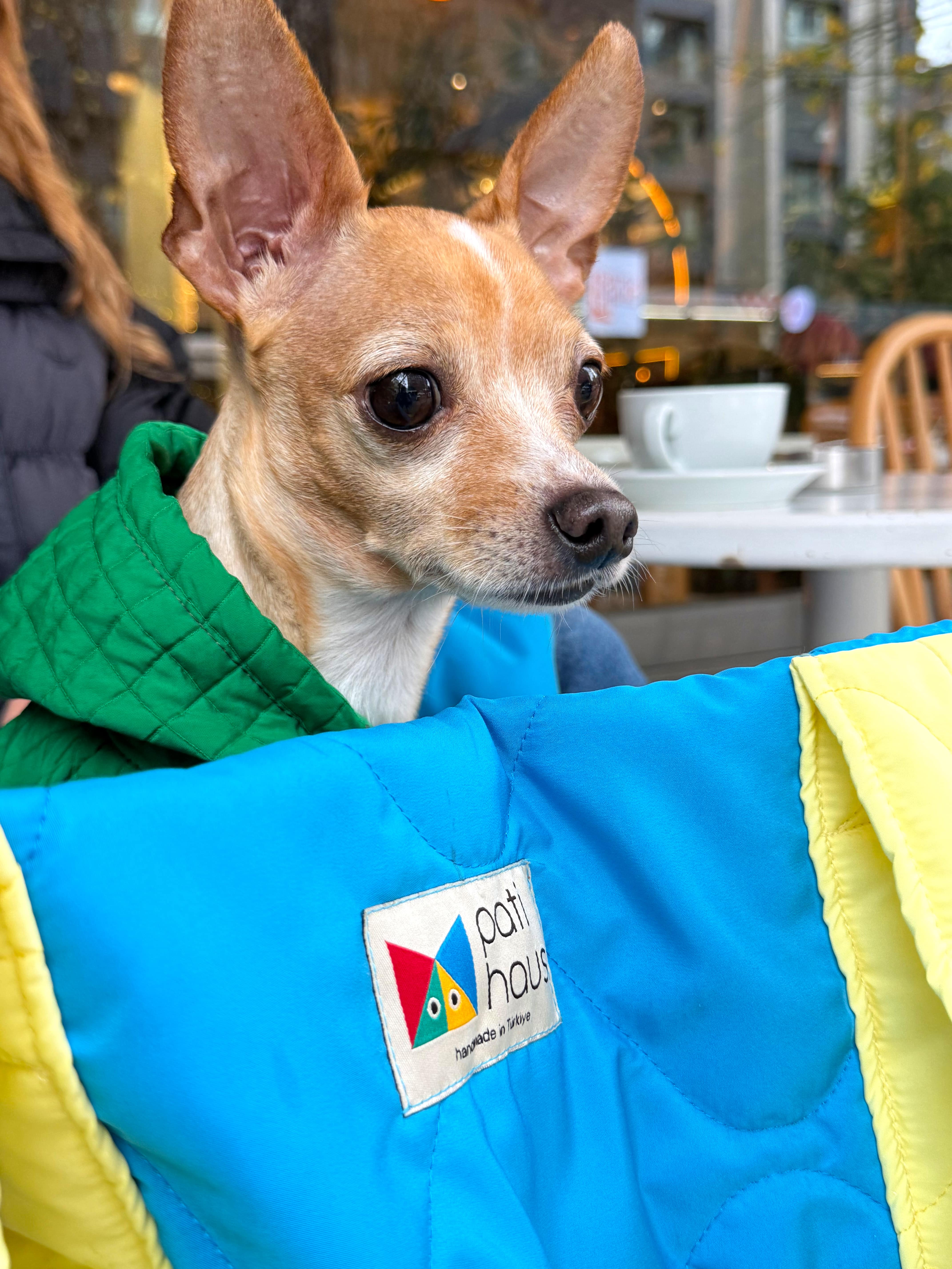 Juno Blue Fusion Kedi ve Köpek Taşıma Çantası