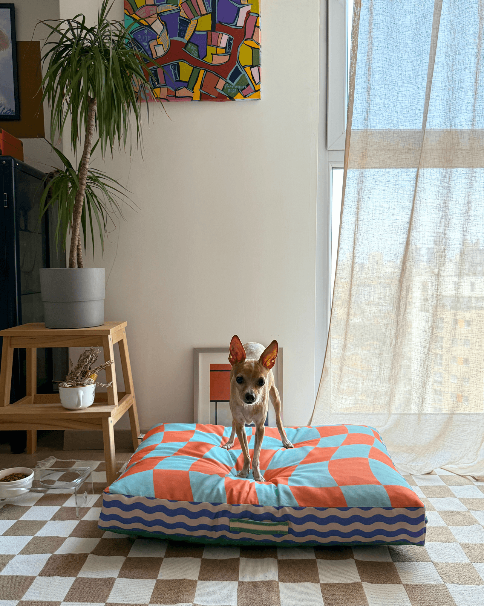 Meadly Minder Kedi ve Köpek Yatağı