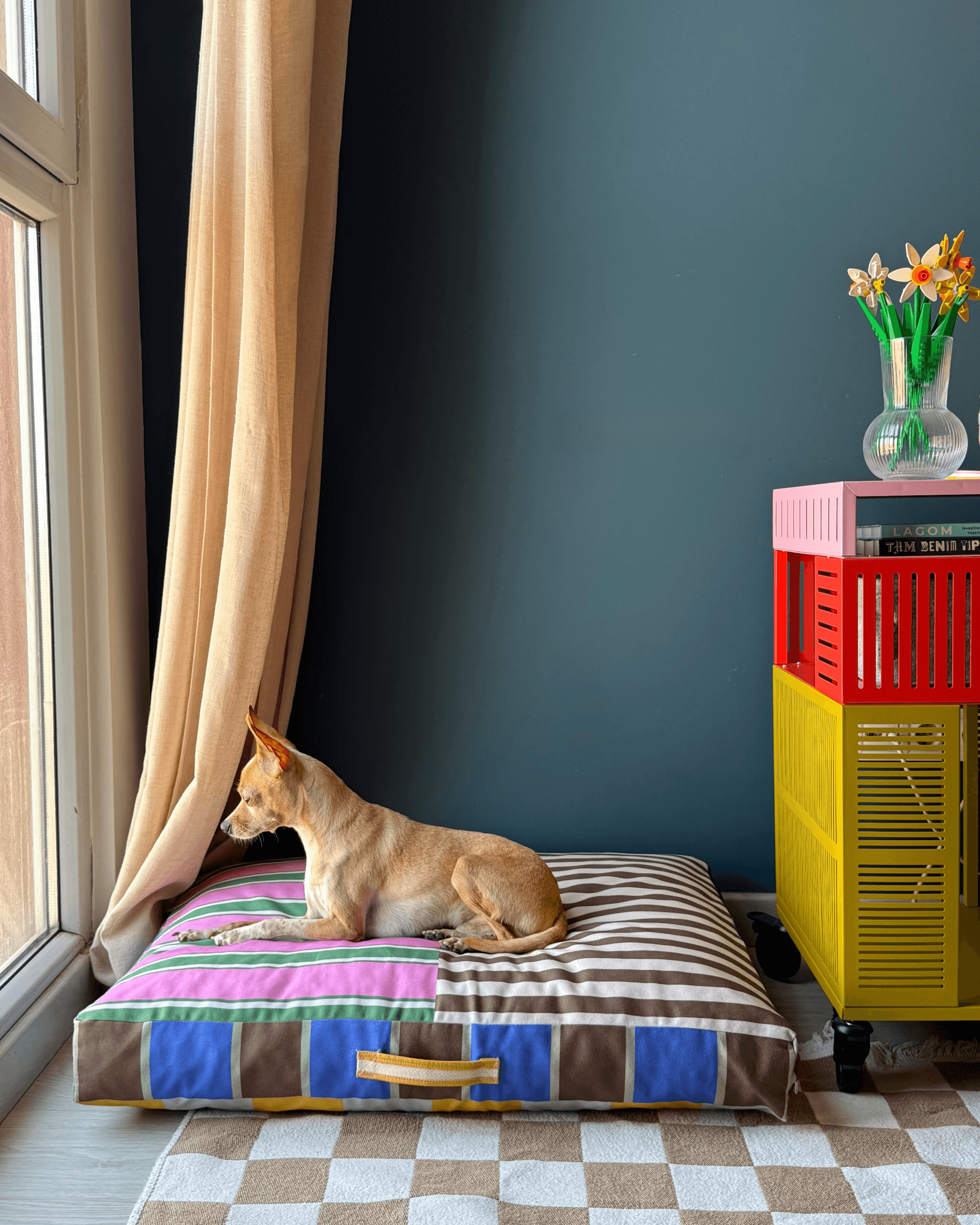 Cosbly Minder Kedi ve Köpek Yatağı