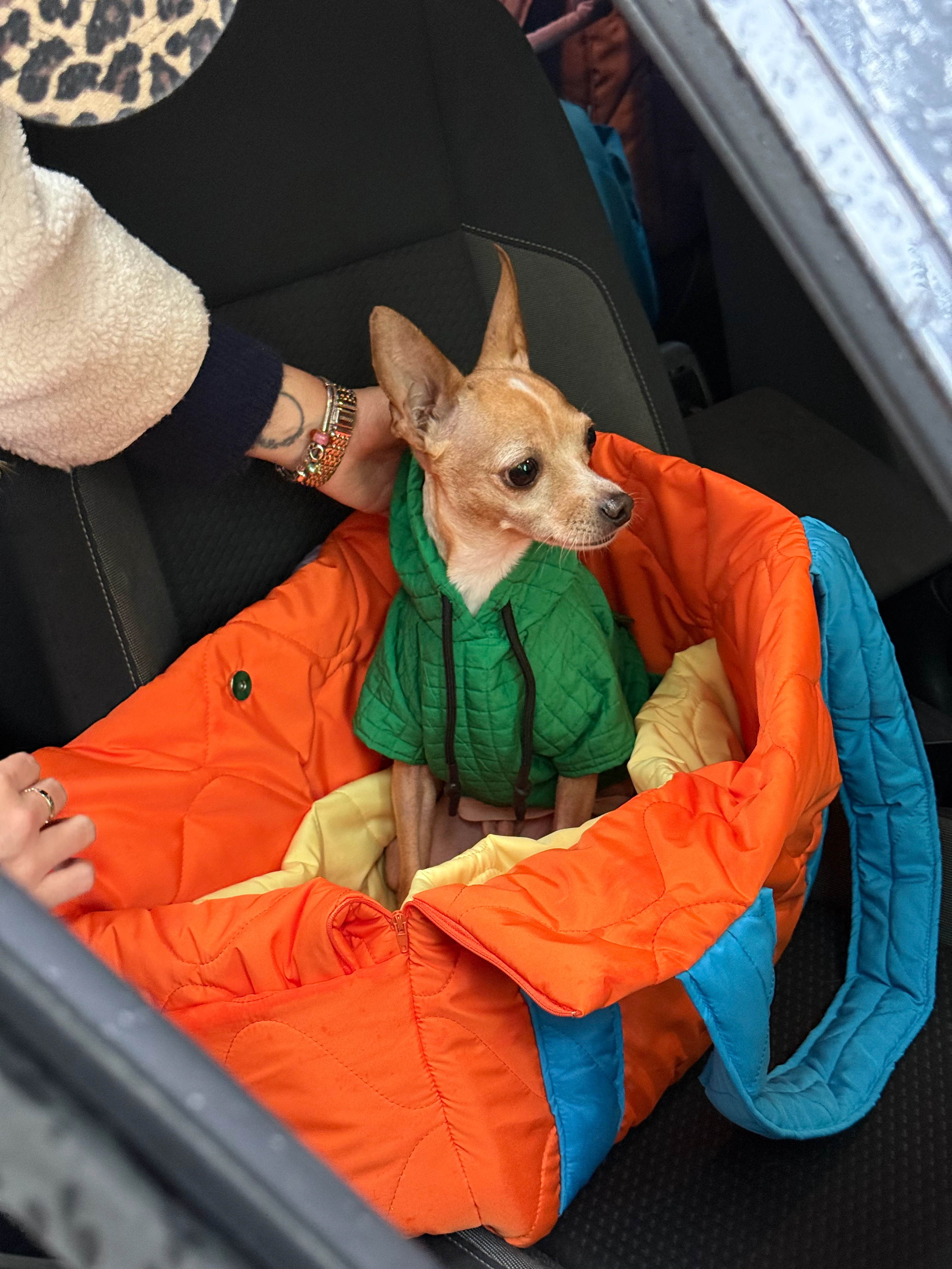 Juno Tangerine Fusion Kedi ve Köpek Taşıma Çantası