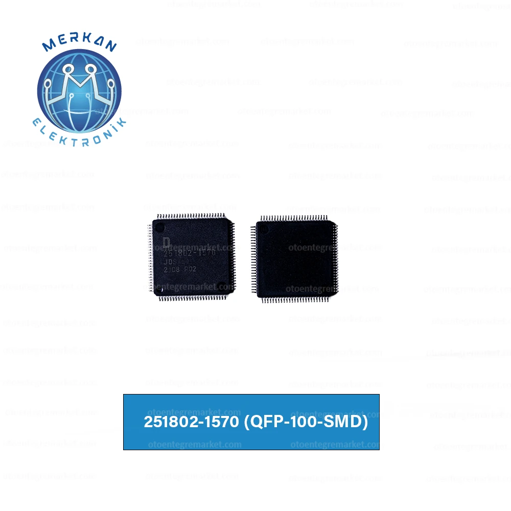 251802-1570 (QFP-100-SMD)