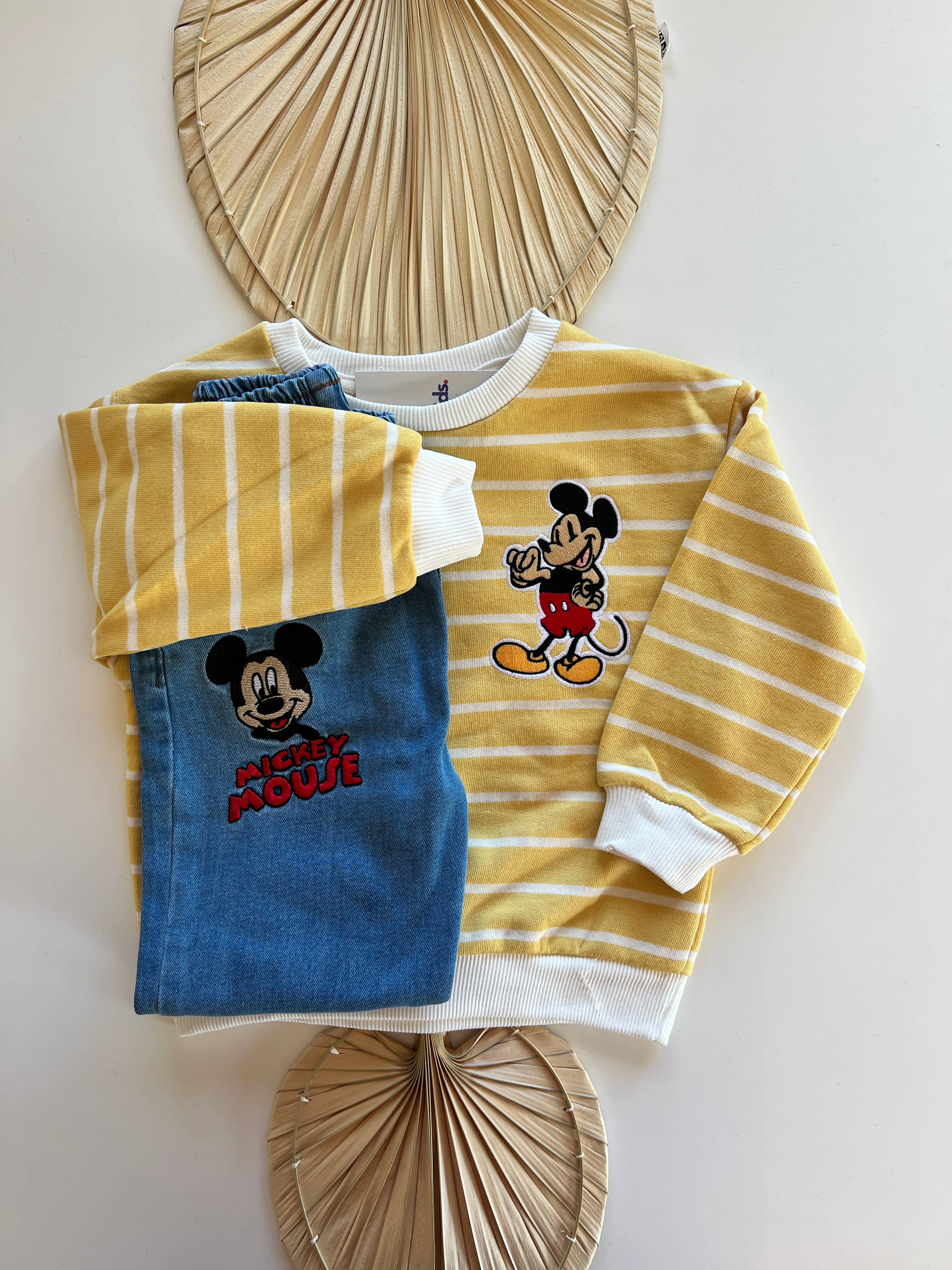 Mickey Karakterli Çizgili Erkek Çocuk Takım