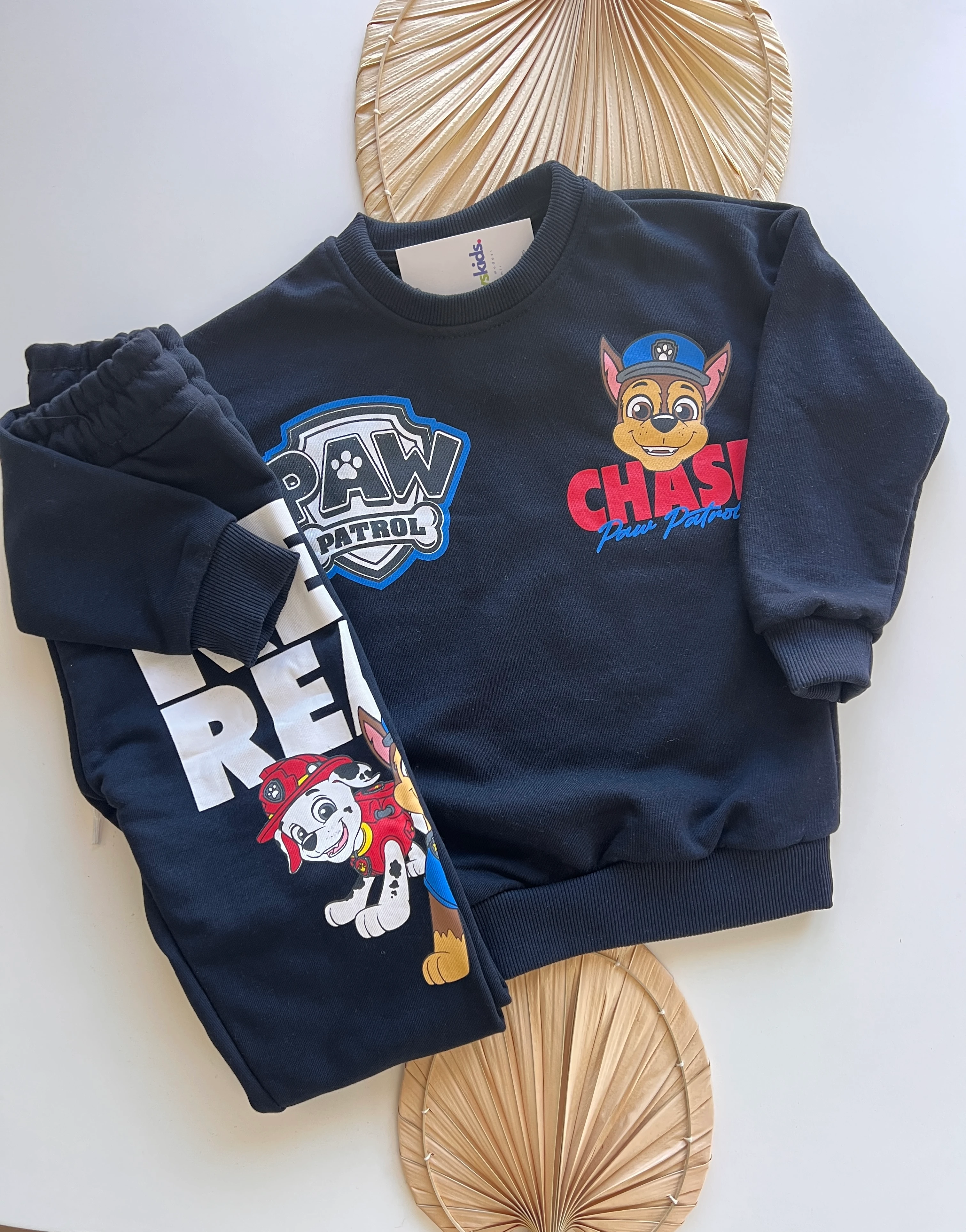Paw Petrol Baskılı Erkek Çocuk Takım 