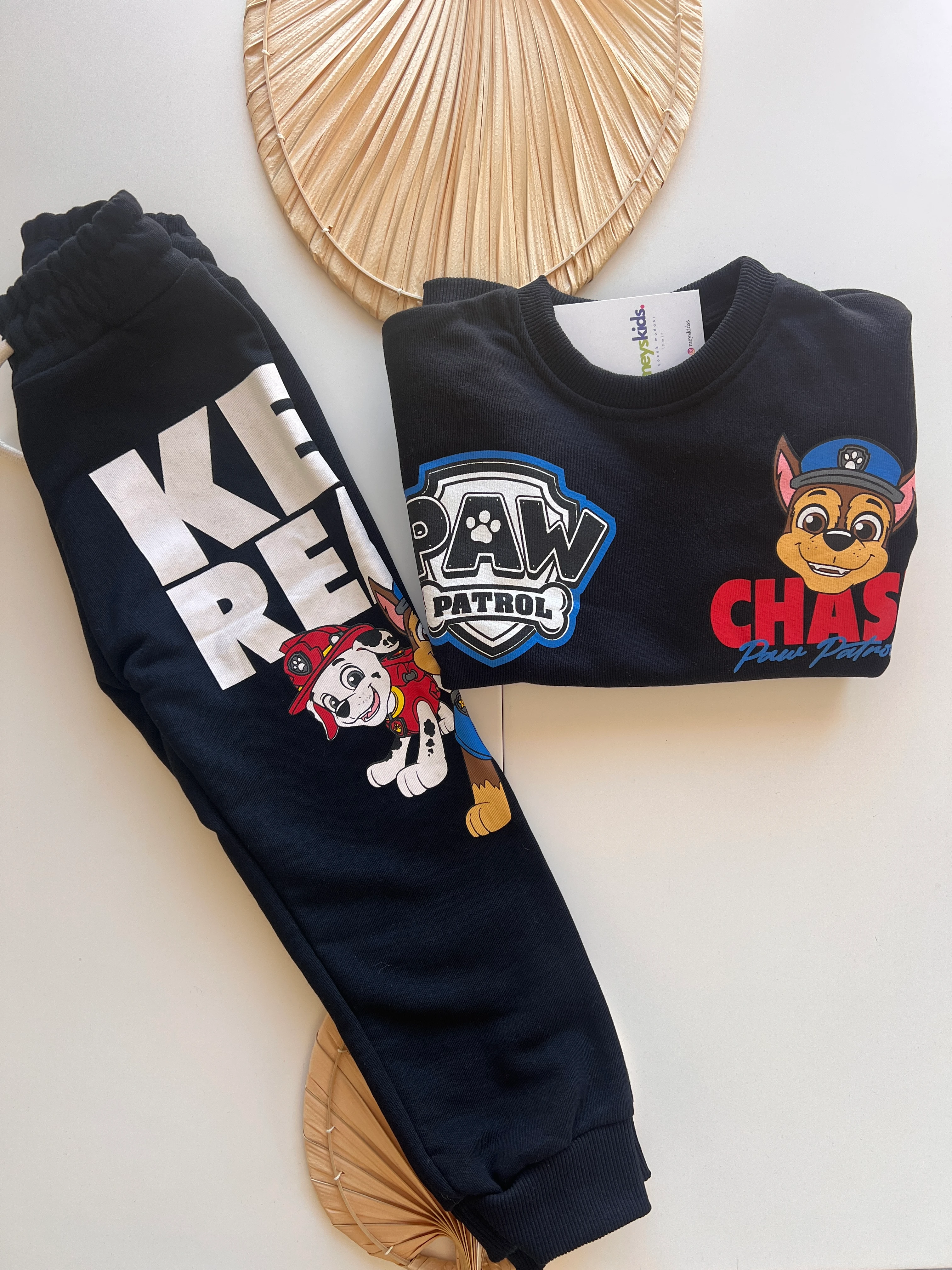 Paw Petrol Baskılı Erkek Çocuk Takım 