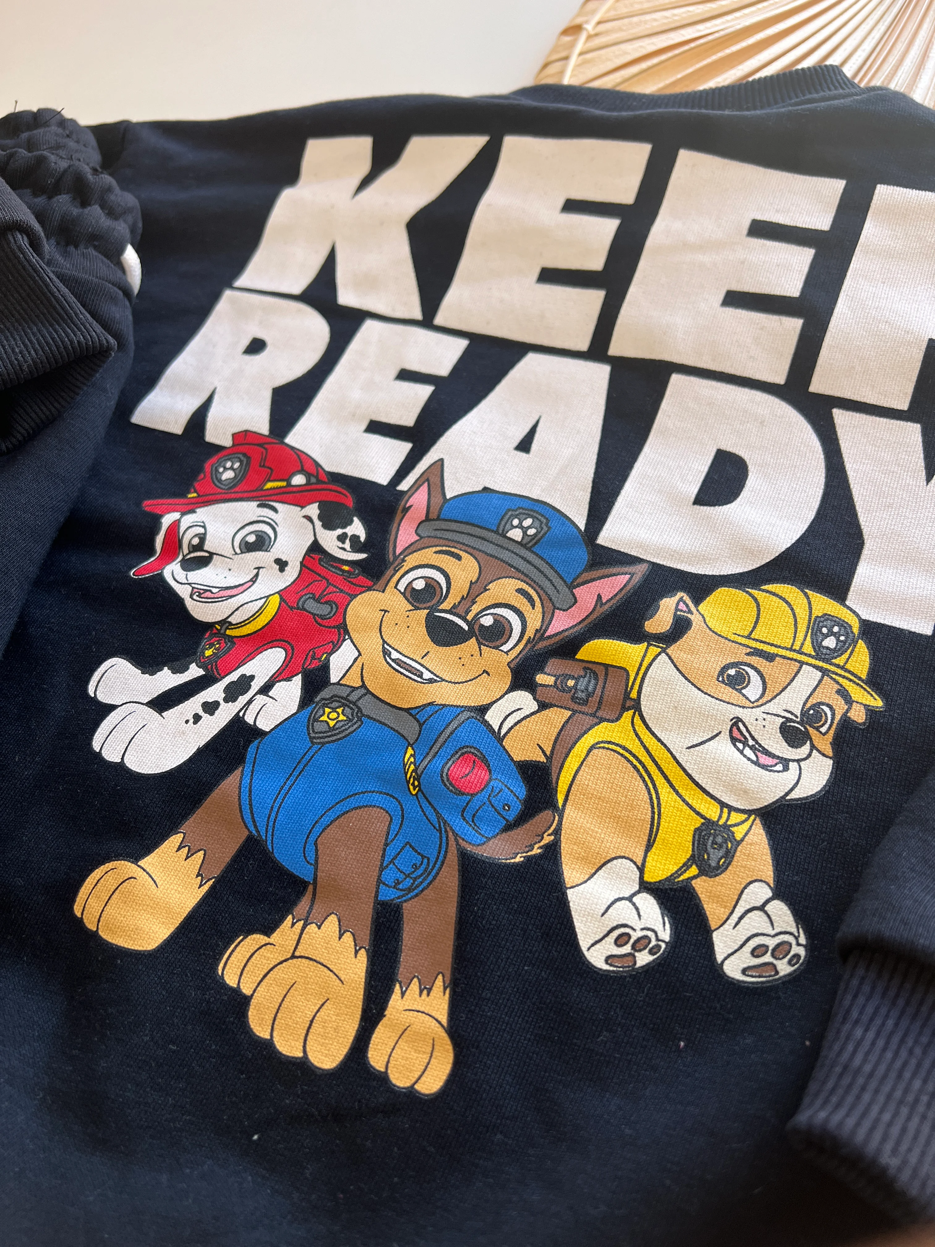 Paw Petrol Baskılı Erkek Çocuk Takım 