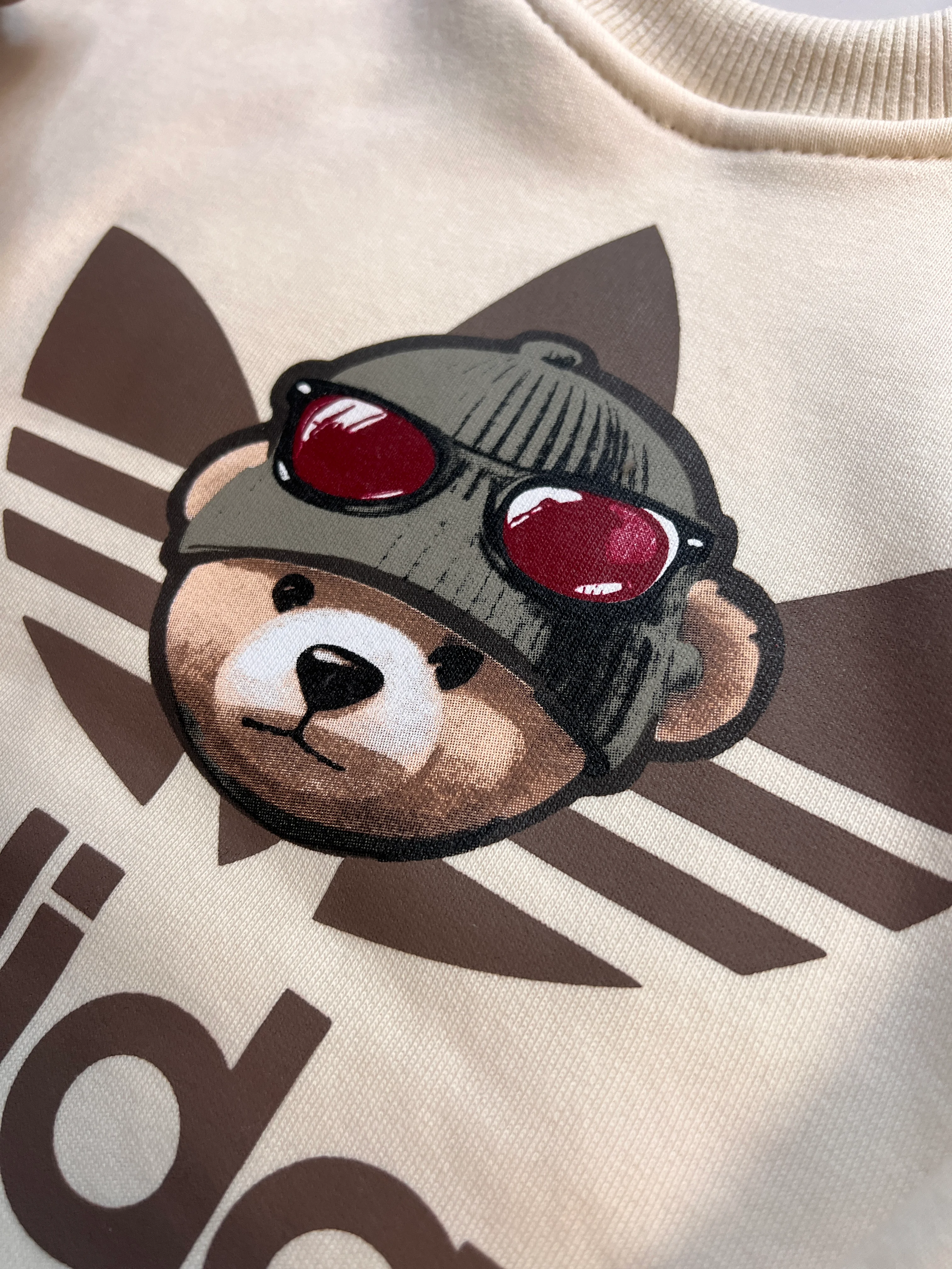 Ayıcık Detaylı Şardonlu Erkek Çocuk Takım 