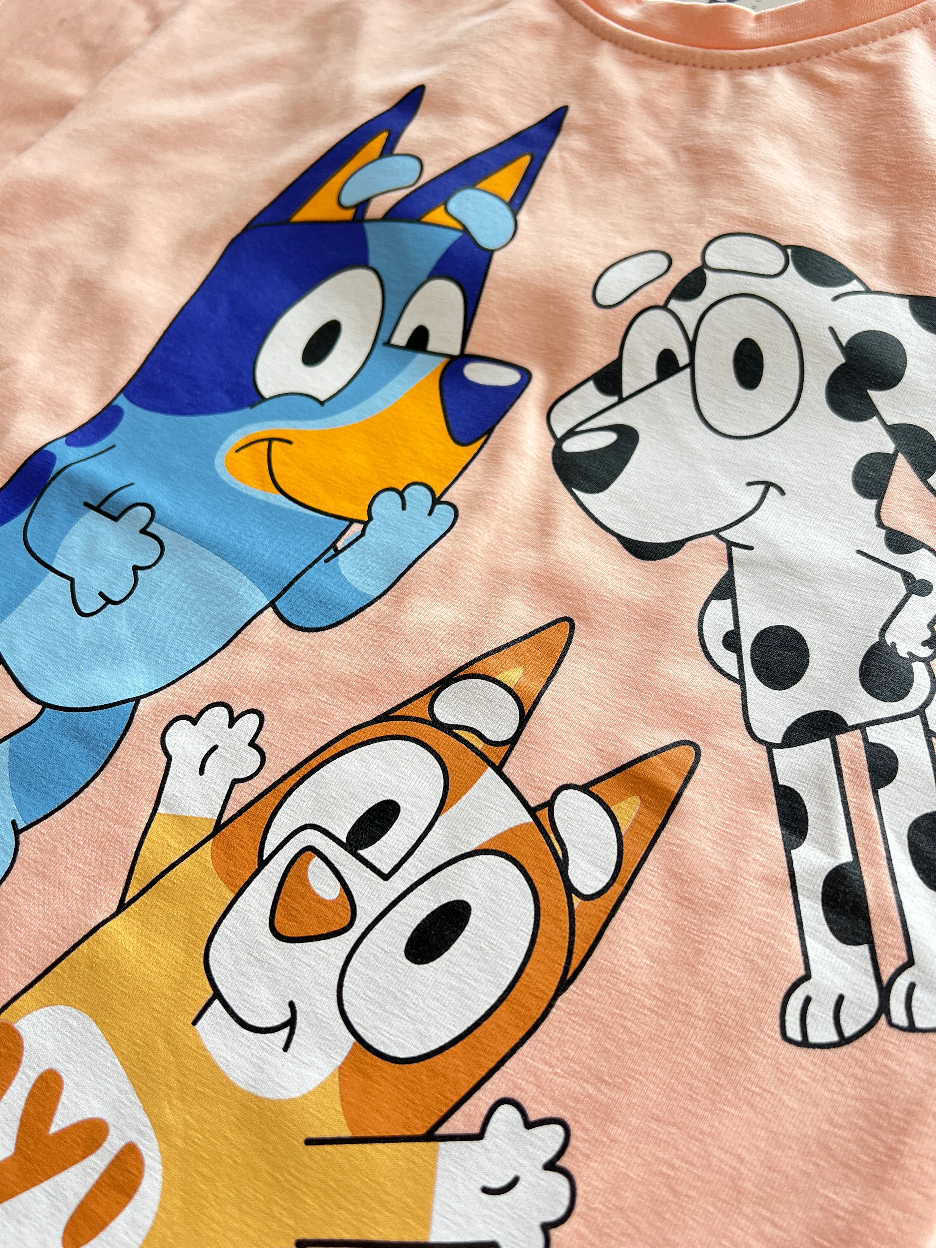 Bluey Bingo Baskılı Kız Çocuk Takım