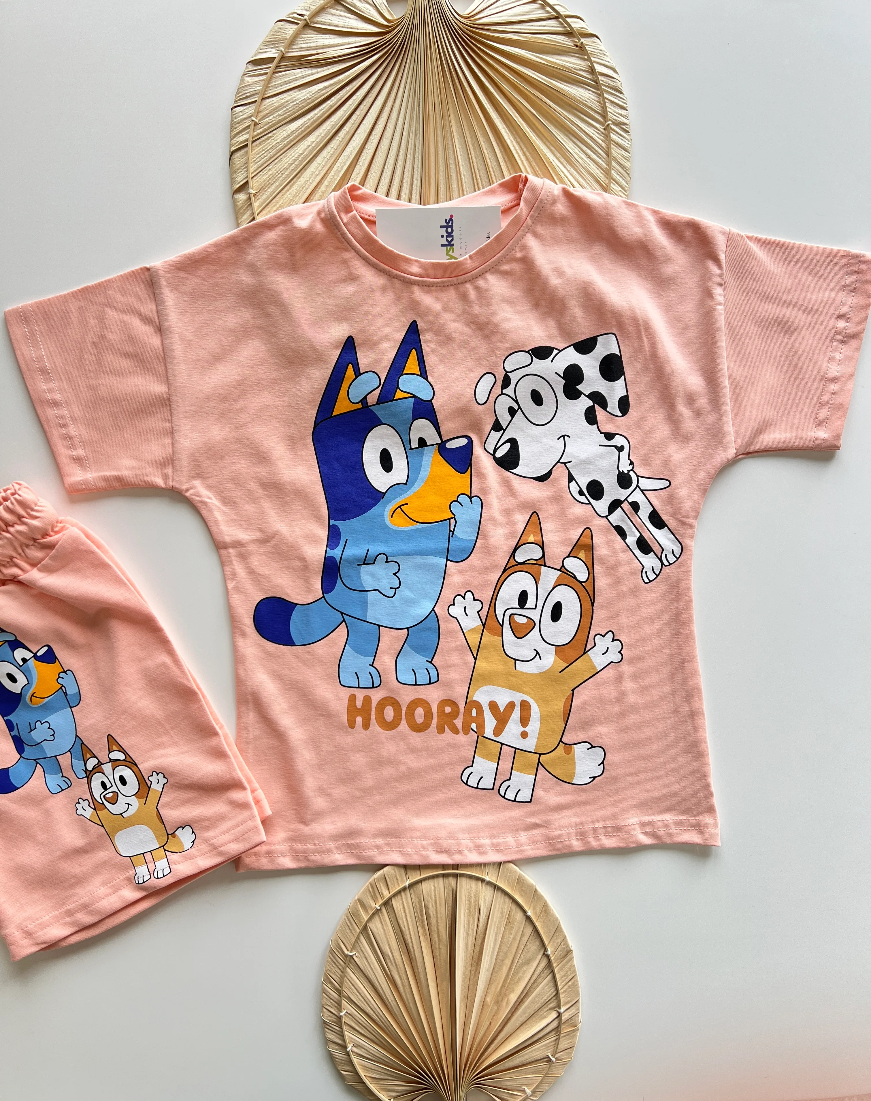 Bluey Bingo Baskılı Kız Çocuk Takım